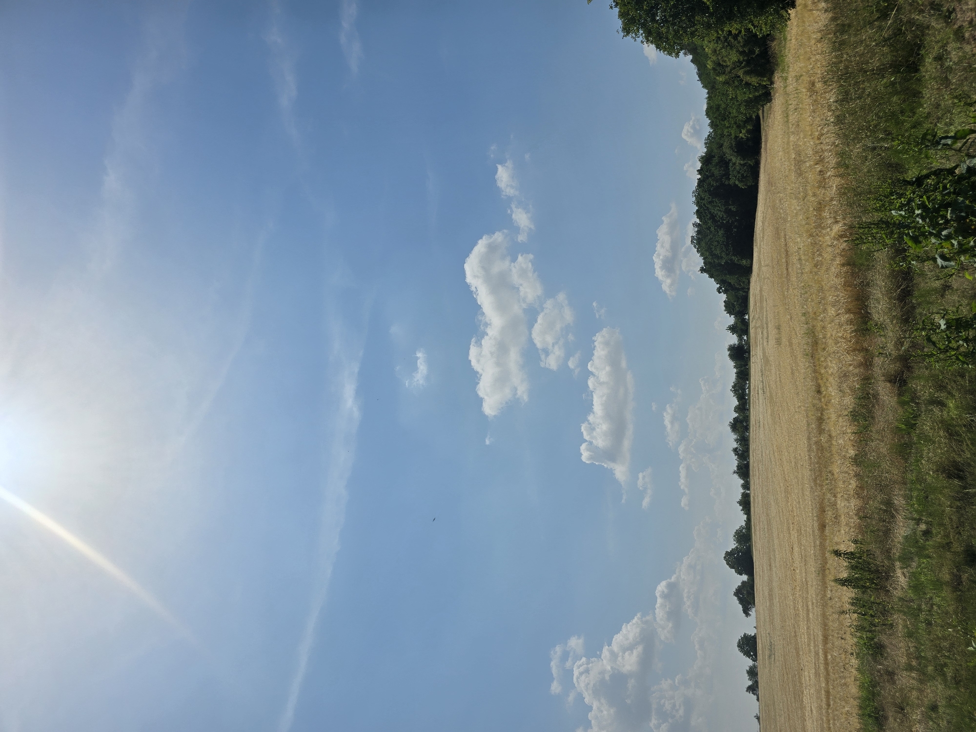 The image depicts a wide, golden field of ripe grain under a bright blue sky with scattered white clouds. The sun is positioned high in the upper left corner, casting a strong glare and creating a bright shaft of light extending downwards. A line of dense green trees forms a distant horizon along the top edge of the field. In the foreground, there is a strip of uncut grass and vegetation. The scene is a rural landscape, likely in or around Pustiměř, Czechia, characterized by its agricultural fields and natural environment. There are no people or specific actions observable in the image.