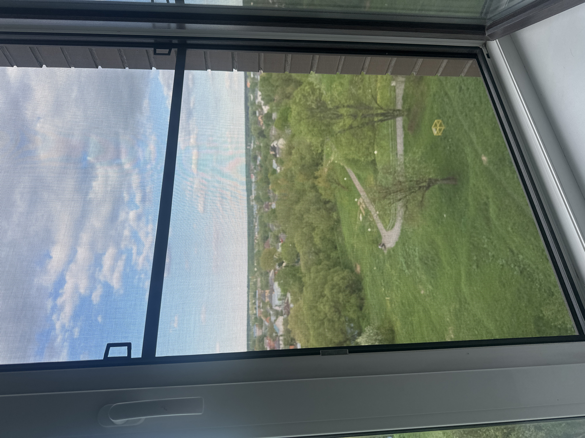 The image shows a view through a screened window. The left side of the window reveals a cloudy sky. The right side of the window presents a view of a grassy park with trees and a path. There is also a playground structure visible in the distance. Based on the scenery and layout, it is inferred that this image was taken in Naro-Fominsk, Russia.