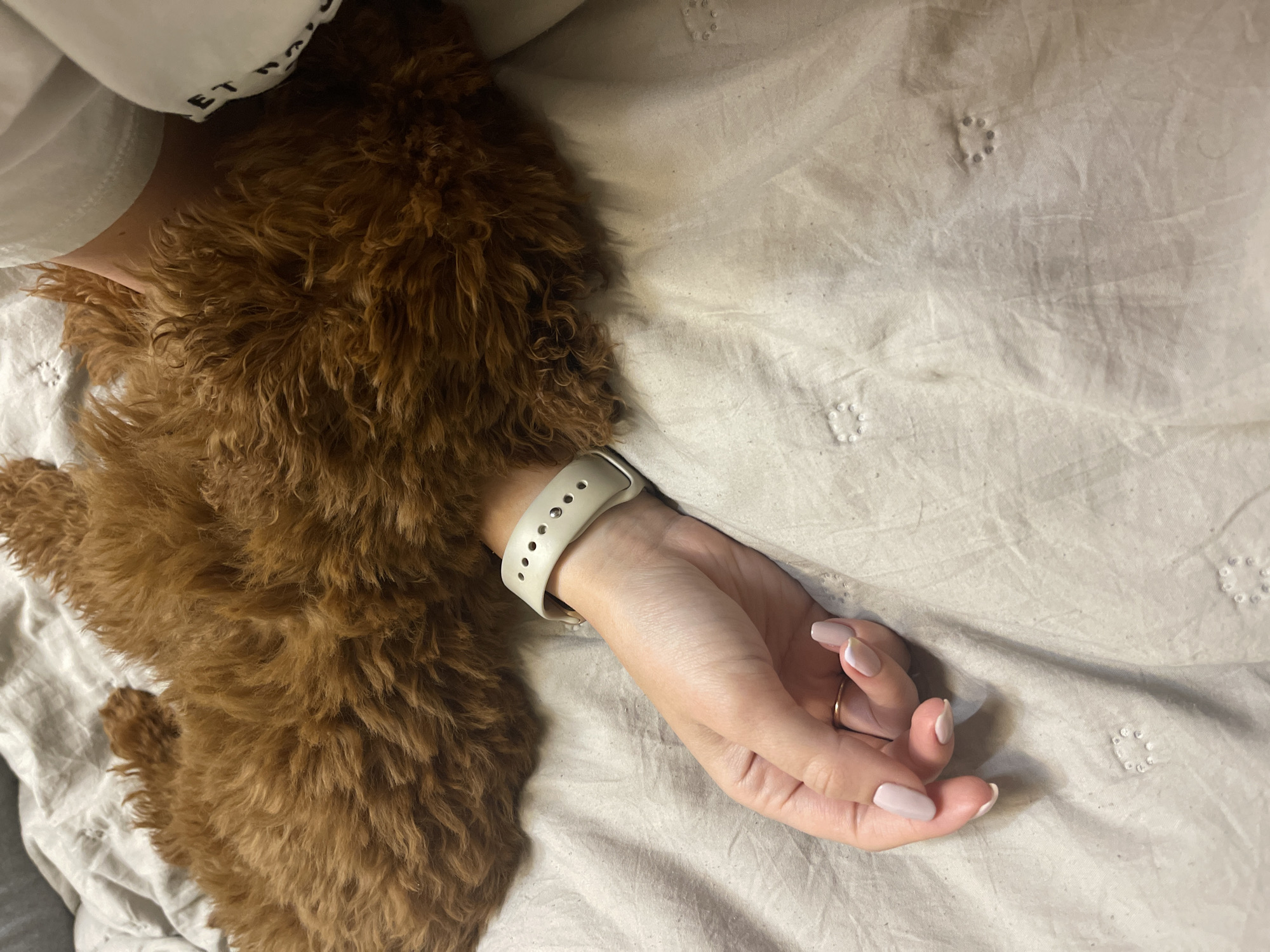 A person lies on a bed covered with a white textured duvet. A brown dog with curly fur is snuggled close to the person. The person's arm, adorned with a light-colored watch band, rests on the duvet. The scene appears to be indoors, likely a domestic setting. There is no indication of the location in the city of Sofia, Bulgaria.