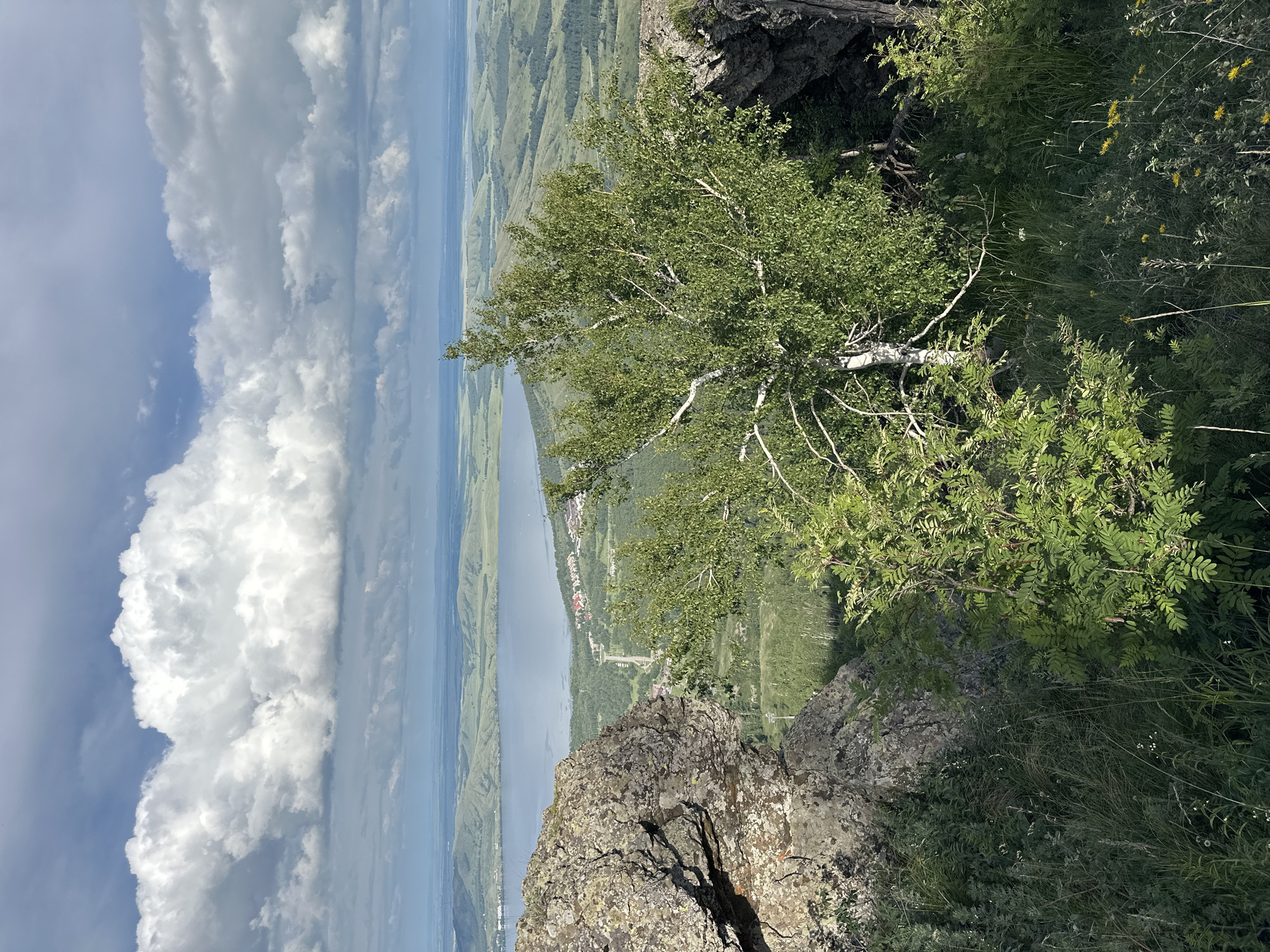 This media file depicts a scenic overlook from a rocky cliff. The primary subject is the expansive landscape, which includes a large body of water, possibly a river or lake, stretching into the distance. Rolling green hills with visible vegetation cover the land on the opposite side of the water, with a small settlement nestled along the shoreline. A portion of the sky is visible, filled with dramatic, voluminous white clouds against a clear blue sky, suggesting a bright and possibly partly cloudy day.
In the foreground, large, rough-textured rocks are prominent, indicating the cliff edge. A tree with light-colored bark and lush green leaves leans out over the cliff, its branches reaching towards the vista. Dense green foliage, including smaller bushes and grasses, grows along the edge of the cliff, adding to the natural setting. The overall impression is one of natural beauty and a sense of height and perspective.
The orientation of the image is such that the sky appears on the left and the landscape on the right, suggesting the photo was taken with the camera rotated 90 degrees counter-clockwise. There is no visible text or discernible activity taking place beyond the inherent beauty of the natural scene. The time of day appears to be daytime, given the brightness and the presence of shadows, and the weather seems fair with dramatic cloud formations. The location is characterized by a mountainous or hilly terrain with a significant body of water and a vegetated landscape.