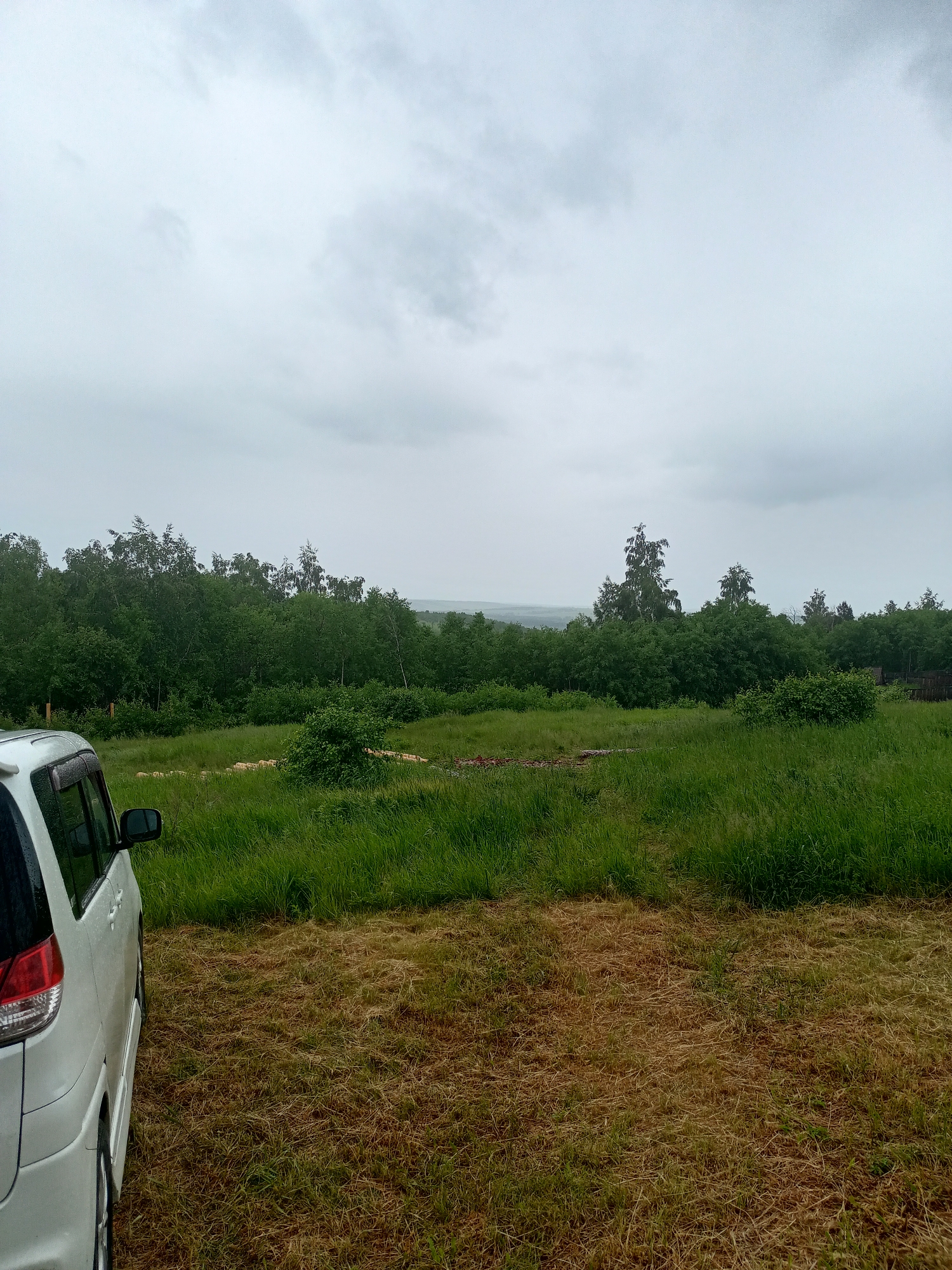 A white minivan is parked on a dry, grassy field. Beyond the field, a dense forest of green trees stretches across the horizon under a cloudy sky. The image appears to be taken in Karluk, Russia.