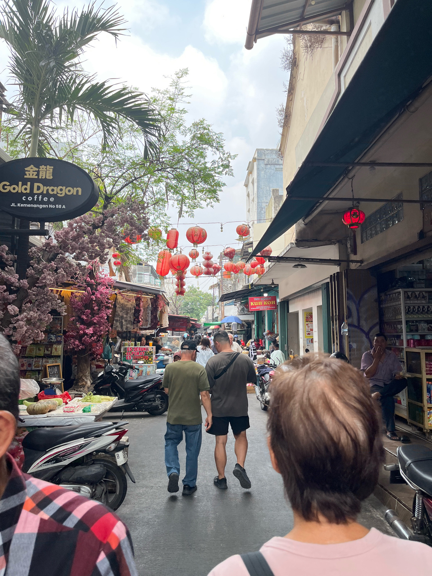 The image depicts a bustling street scene in what appears to be an Asian city, possibly in a market or commercial district. In the foreground, the back of a person wearing a pink shirt is visible, facing away from the camera. To the left, another person's shoulder is visible, wearing a red and black plaid shirt. Two men are walking away from the camera down the street. The man on the left wears a green t-shirt and blue jeans, while the man on the right wears a dark t-shirt and black shorts.
The street is lined with shops and stalls, many of which are adorned with red lanterns, suggesting a festive atmosphere or cultural celebration. Cherry blossom trees, possibly artificial, are also visible, adding to the decor. Various items are displayed for sale, including produce on a table in the middle ground, and goods on shelves inside the shops. Several motorbikes are parked along the street. The architecture of the buildings suggests a mix of older and newer construction. The sky is overcast. The text on a sign above a coffee shop reads "Gold Dragon coffee JL. Kemenangan No 58 A", indicating a potential location in Jakarta, Indonesia, specifically within the Glodok area, also known as Chinatown.