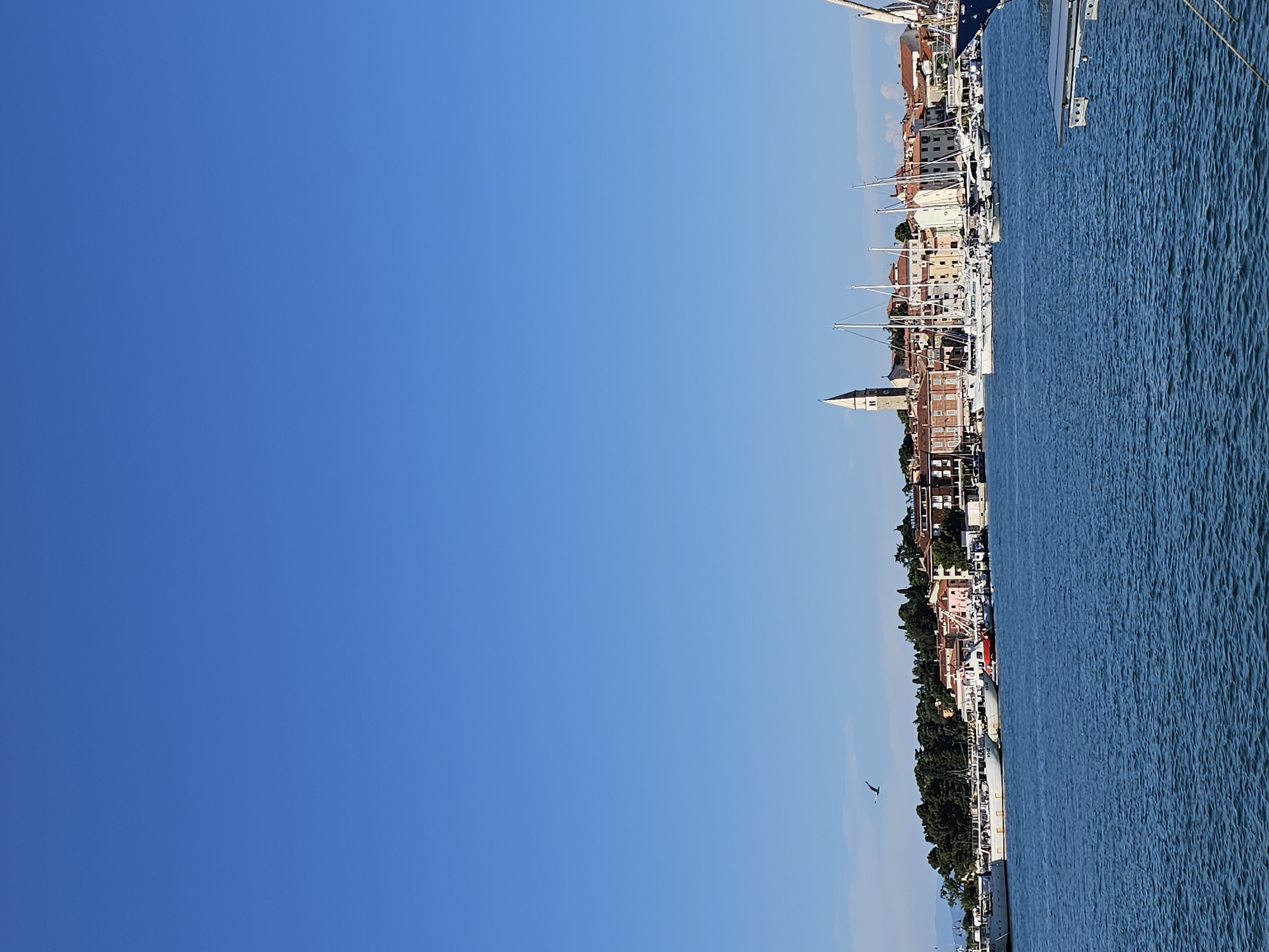 A daytime, eye-level, wide-angle shot captures a view of the harbor in Izola, Slovenia. The sky is a clear, bright blue with a single bird flying to the left of center. Below the sky is the city skyline, characterized by terracotta-tiled roofs and a tall, pale-colored church steeple. Several boats of varying sizes are docked in the harbor, with white sails on some of the sailboats prominently visible. The water in the foreground is a deep blue with small ripples. A partial view of a modern boat structure is visible in the bottom right corner.