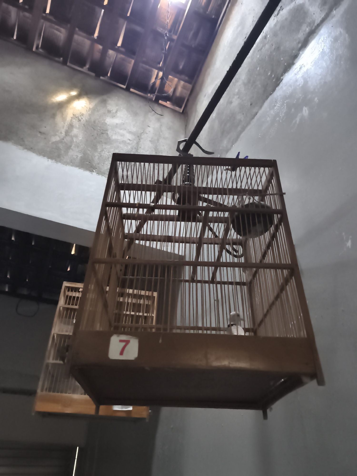The image shows two wooden bird cages hanging from the ceiling in what appears to be an interior space, possibly a room or a covered market stall. The ceiling is made of wooden beams and tiles, with some light filtering through. The walls are concrete and rough. The foreground cage is larger and has a number "7" painted on a white sticker on its base. Inside the foreground cage, there is a dark spherical object hanging, possibly a food or water dispenser, and a white bird is visible at the bottom. The second cage, partially visible behind the first, is similar in construction but appears smaller. The overall lighting is dim, with some bright spots caused by light entering from above. The scene is static and does not depict any specific action or interaction. There is no identifiable urban context or specific location within the city of Yogyakarta, Indonesia.