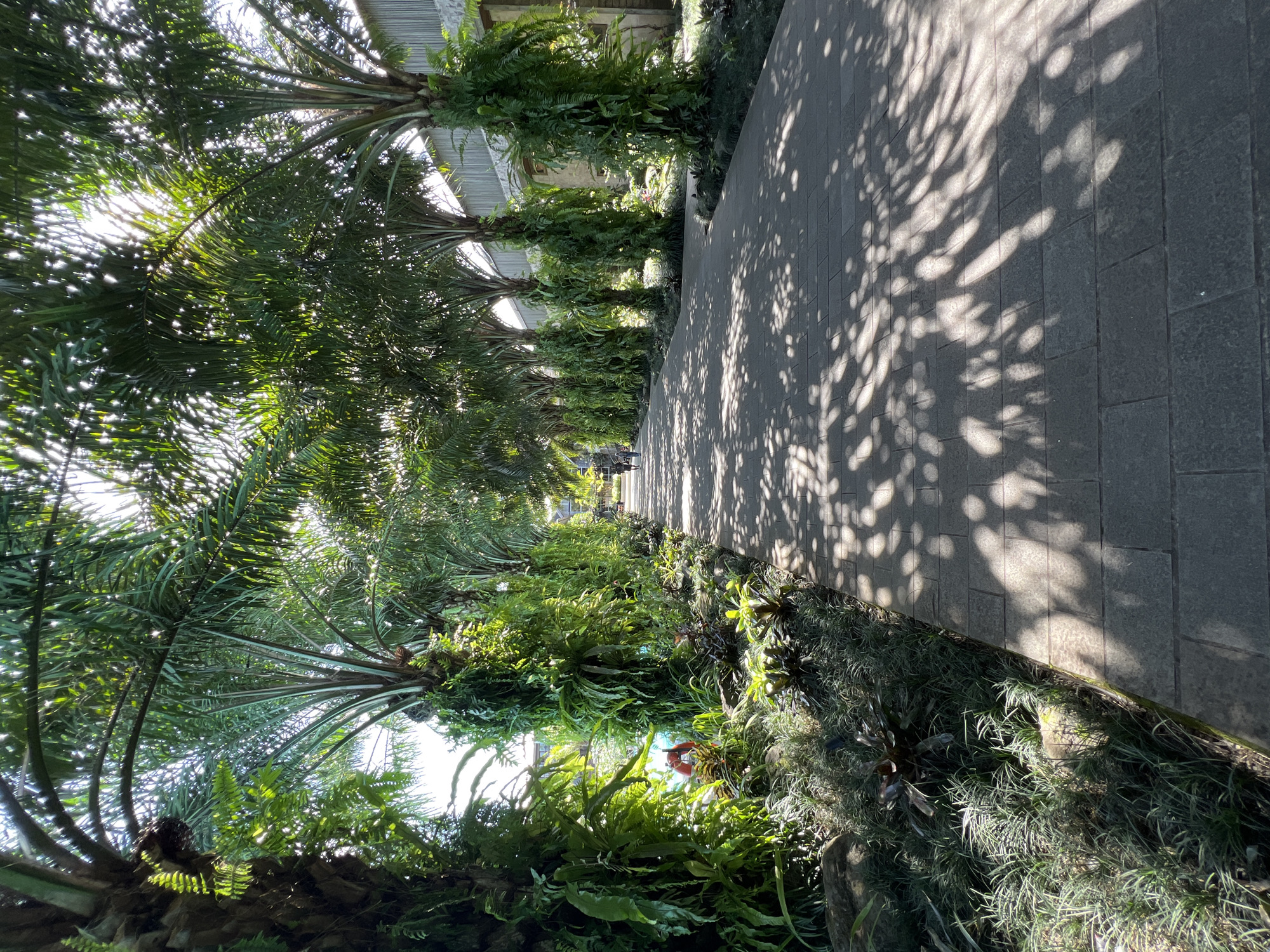 The image captures a sun-dappled pathway in Petulu, Indonesia. The pathway, constructed of gray rectangular pavers, is overlaid with the shadows of tree foliage. Along the left side of the path, there is dense vegetation. The right side of the path has similar vegetation. Overhead are several trees, suggesting a constructed promenade lined with landscaping. The image's perspective suggests it was taken by someone standing on or next to the path.