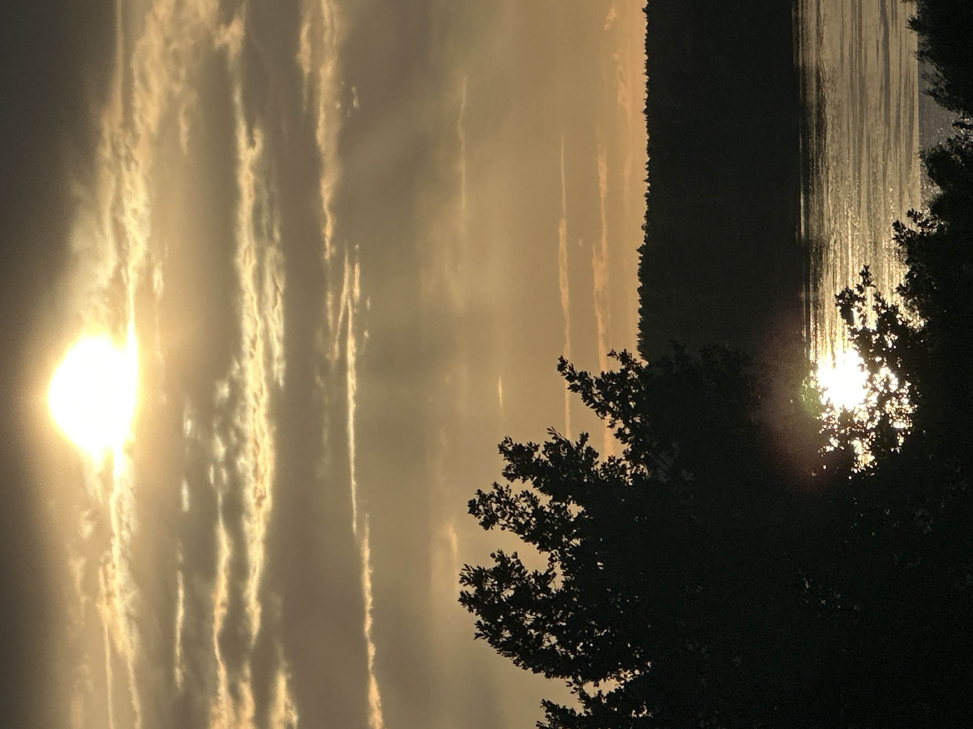 The image captures a sunset over a body of water, likely a river, in Chaikovsky, Russia. The sun, low on the horizon, casts a warm, golden light across the sky, illuminating streaks of clouds that stretch horizontally. The water reflects this light, creating a shimmering, textured surface. Silhouetted against the bright sky and water is a dense line of trees along the opposite bank, creating a dark, natural boundary. In the foreground, the dark silhouette of leafy trees frames the scene, with some branches reaching into the frame. The overall mood is serene and peaceful, characteristic of a late evening. The time of day is clearly sunset, indicated by the low sun and the warm, diffused light. There is no visible text in the image.