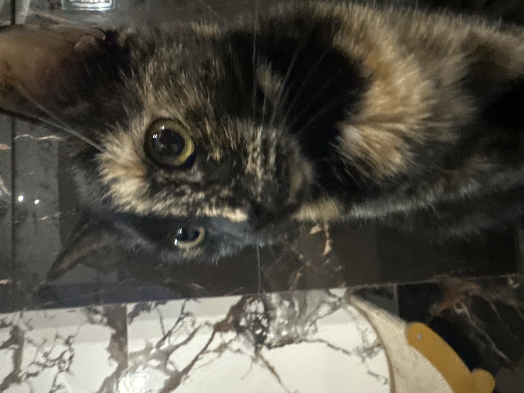 The image shows a close-up of a tortoiseshell cat. The cat has patches of black, brown, and orange fur. Its eyes are a bright yellow-green and are looking to the left of the frame. The cat's ears are pointed. The background consists of dark, reflective surfaces, possibly marble or a similar material, with a lighter, marbled pattern on the left side of the image. There is also a hint of a light-colored object with a yellow accent in the lower left corner. The cat appears to be indoors, in an environment that is dimly lit. There is no information in the image to suggest a location in Virki, Russia.