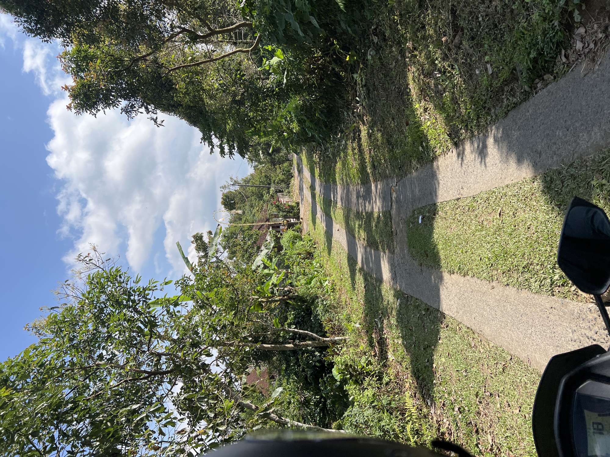 The image depicts a concrete path winding through a lush, green rural landscape in Pupuan, Indonesia. Trees with dense foliage line both sides of the path, creating a canopy that casts shadows on the ground. The path appears to be a rural road, possibly leading to or from a village, as houses with reddish-brown roofs are visible in the background amidst the greenery. The sky is a vibrant blue, dotted with fluffy white clouds. The foreground shows the handlebars and dashboard of a motorcycle, suggesting the image was taken from the perspective of someone riding the motorcycle. The scene is bathed in bright sunlight, indicating it is daytime. The overall impression is one of a peaceful, tropical environment.