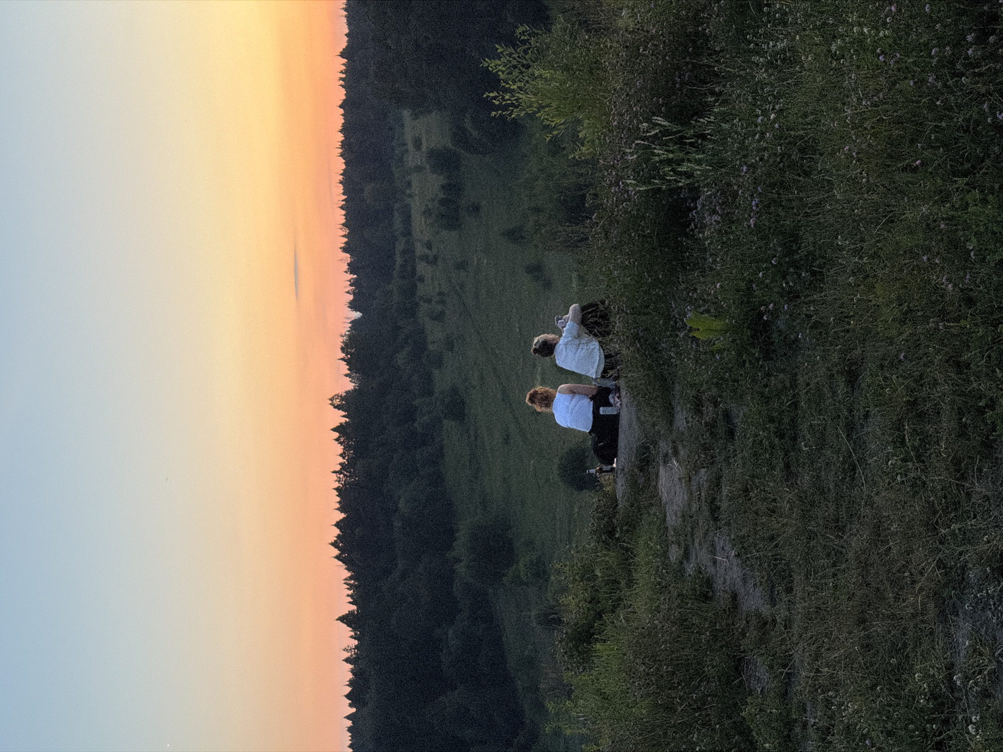 Two individuals are seated on a grassy knoll overlooking a wooded valley during sunset. The sky displays a gradient of soft blues and oranges. The foreground is dominated by wild grasses and low-lying vegetation. The individuals are facing away from the camera, looking towards the expansive landscape. To the left of the individuals, on the ground, are two bottles, likely of beverage. The middle ground shows a gently sloping, verdant valley with scattered trees, and the background is a dense forest line against the horizon. The image appears to be taken at an elevated position, offering a panoramic view of the natural setting. The location is identified as being in Krasnogorsk, Russia.