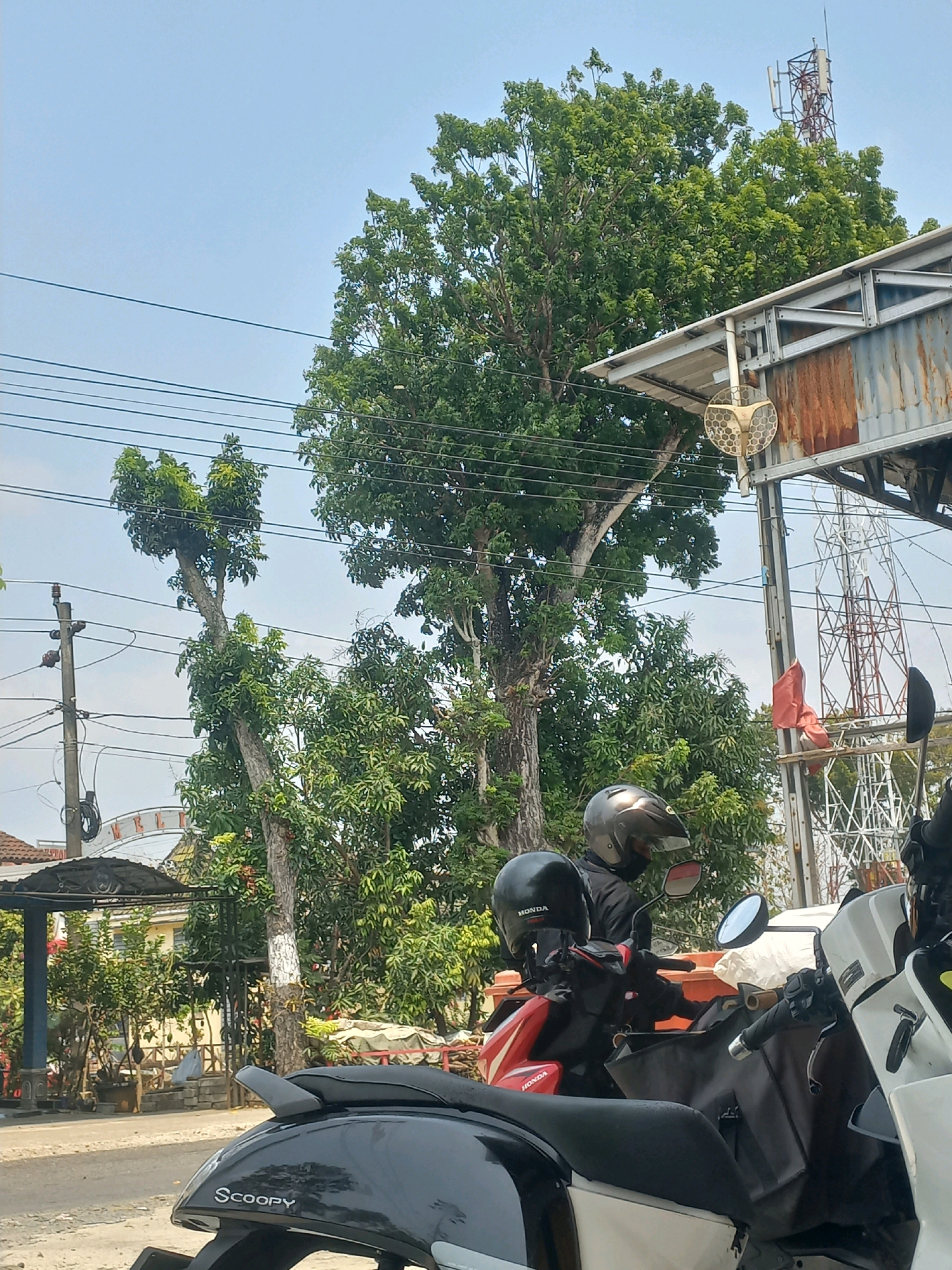 The image captures a street scene in Baturetno, Indonesia, under a clear sky. In the foreground, several motorcycles are parked. One is a dark grey scooter with "Scoopy" visible on its rear. Another motorcycle, partially visible, is red and black, with "HONDA" written on its side. Two individuals are seated on motorcycles, both wearing helmets. One helmet is black, and the other is grey.
Behind the motorcycles, lush green trees dominate the midground. A large tree with a thick trunk stands prominently, its branches reaching upwards. To the right, a metal structure with a rusted corrugated metal roof is visible, supported by metal beams. A large, white circular object with a grid pattern is mounted on the structure. A red flag is attached to a pole near this structure. In the background, a tall telecommunications tower is visible amongst the trees. Further back, a residential building with a covered entrance and an arched sign with some lettering, possibly "MELTI" or similar, can be seen. Power lines and a utility pole with insulators are also present in the scene. The ground appears to be a paved road or pathway.