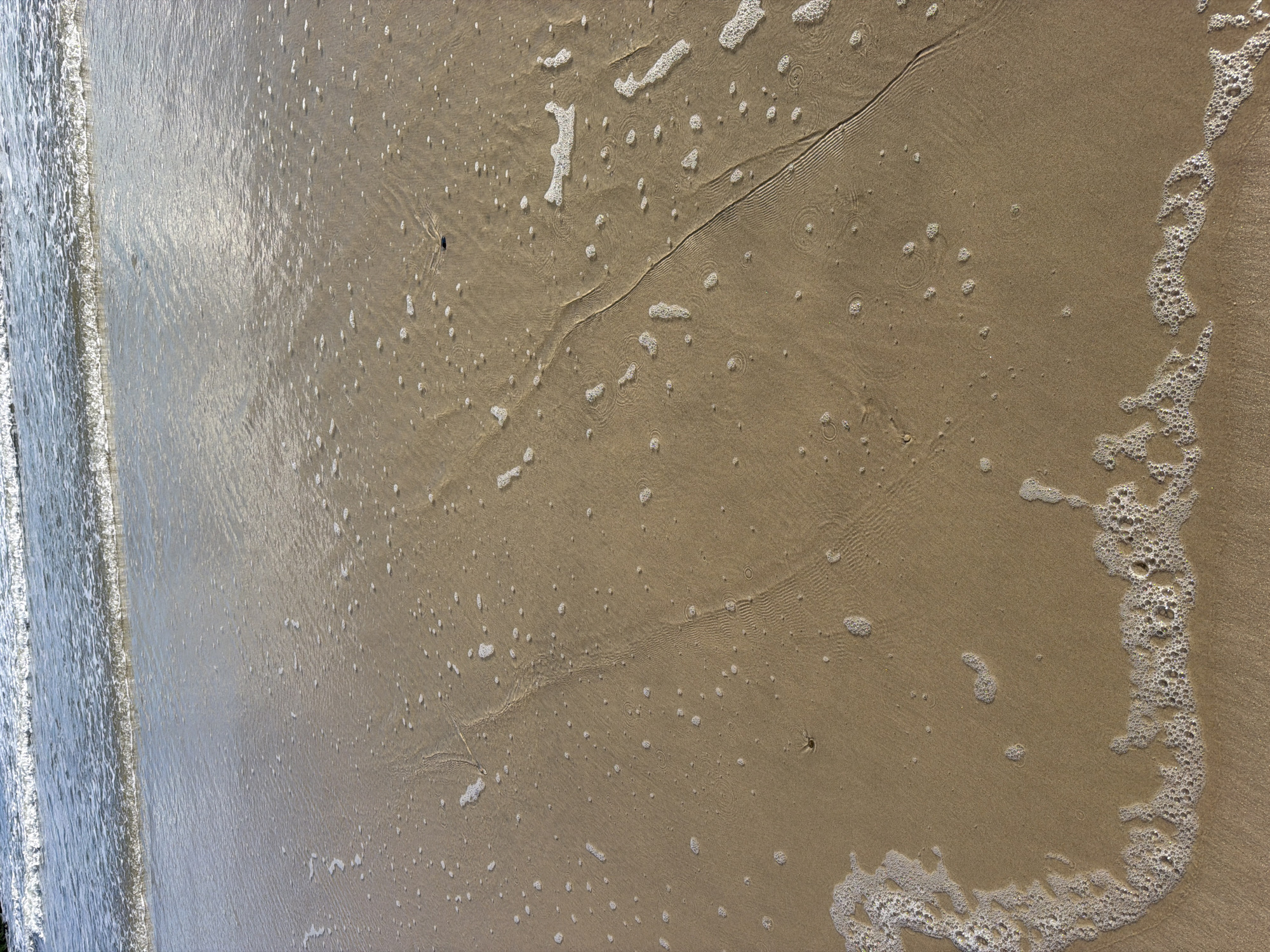 This image depicts a close-up, overhead view of a sandy beach with the edge of the ocean and gentle waves. The sand is a light tan color and shows subtle ripple patterns from the receding water, with some areas marked by small, circular indentations. Scattered across the sand are numerous small white bubbles, remnants of the sea foam left by the waves. A distinct line of more concentrated sea foam, creating a frothy edge, runs along the right side of the frame. The ocean water on the left is shallow, clear, and exhibits gentle wave action with white foam at the crest. The light appears to be bright, suggesting a sunny day, possibly midday given the illumination. There are no people or distinct objects visible, only the natural elements of the beach environment. The scene evokes a sense of calm and tranquility, characteristic of a peaceful beach setting. The location context provided is Hampton Bays, United States of America, which is consistent with a coastal beach scene. No text is visible in the image.