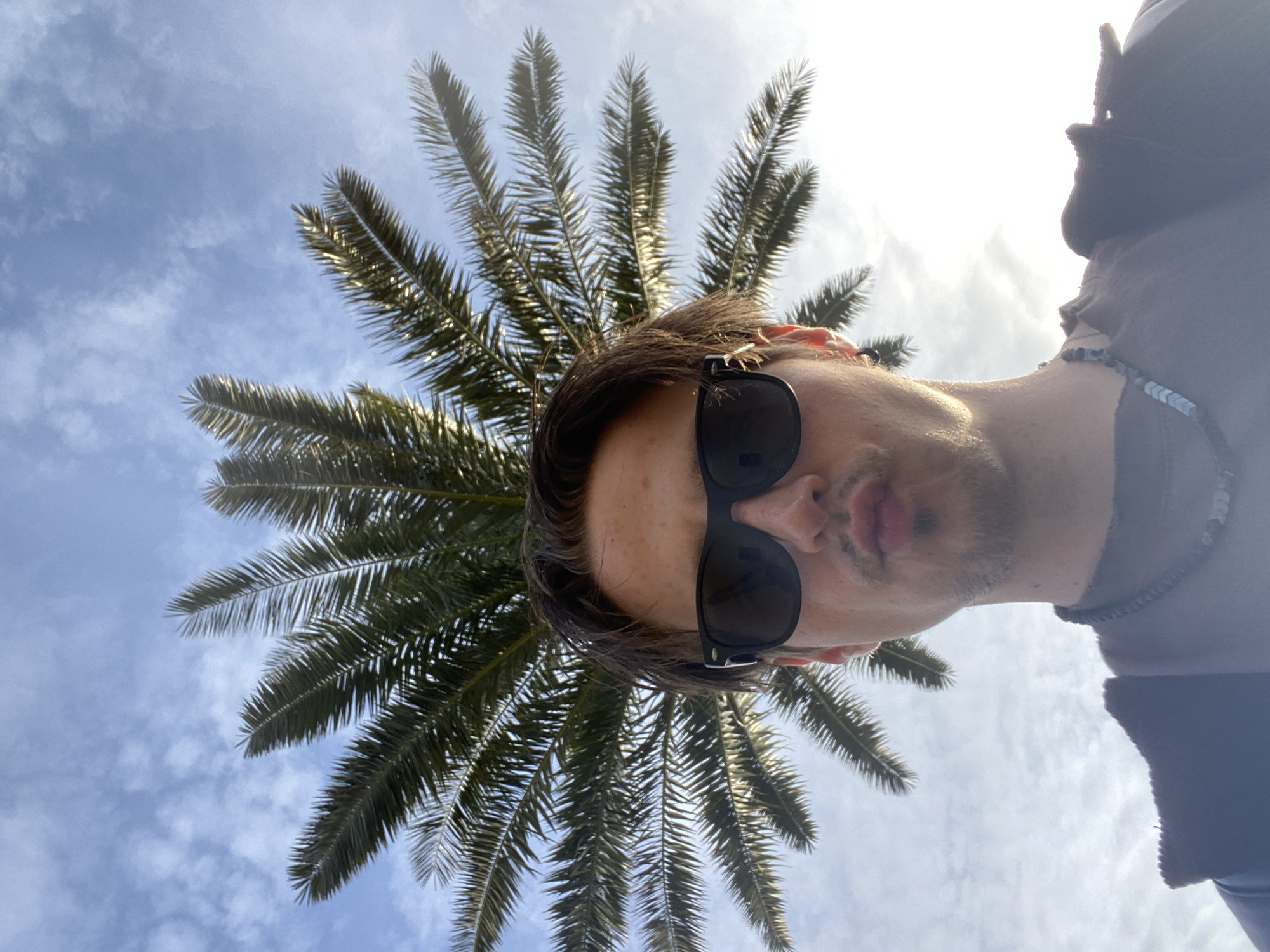 A low-angle selfie features a man looking down at the camera, set against a bright sky and a large palm tree. The man, seen from a low perspective, wears dark sunglasses and a beaded necklace around his neck. His dark brown hair is visible, along with light stubble on his chin and upper lip, and an earring in his right ear. His lips are slightly parted. Behind him, the green fronds of a palm tree fan out, creating a striking backdrop. The bright sky with scattered white clouds suggests daytime, with strong sunlight illuminating the palm fronds and parts of the man's face. The overall scene conveys a casual outdoor portrait in a warm, sunny location, consistent with Bar, Montenegro. No text is visible in the image.