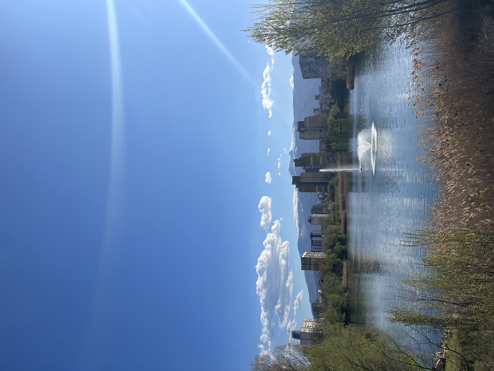 A vertical eye-level shot shows a lake with a fountain on a sunny day. A large portion of the left of the image is a clear blue sky with vertical streaks of light. In the background, tall apartment buildings are visible in front of mountains that are partly obscured by clouds. The lake is in the center of the frame with a fountain shooting water into the air. The right side of the lake is lined with tall reeds and vegetation, and there are trees on both sides of the lake. This scene is likely in the city of Sofia, Bulgaria, due to the presence of mountains and specific architecture.
