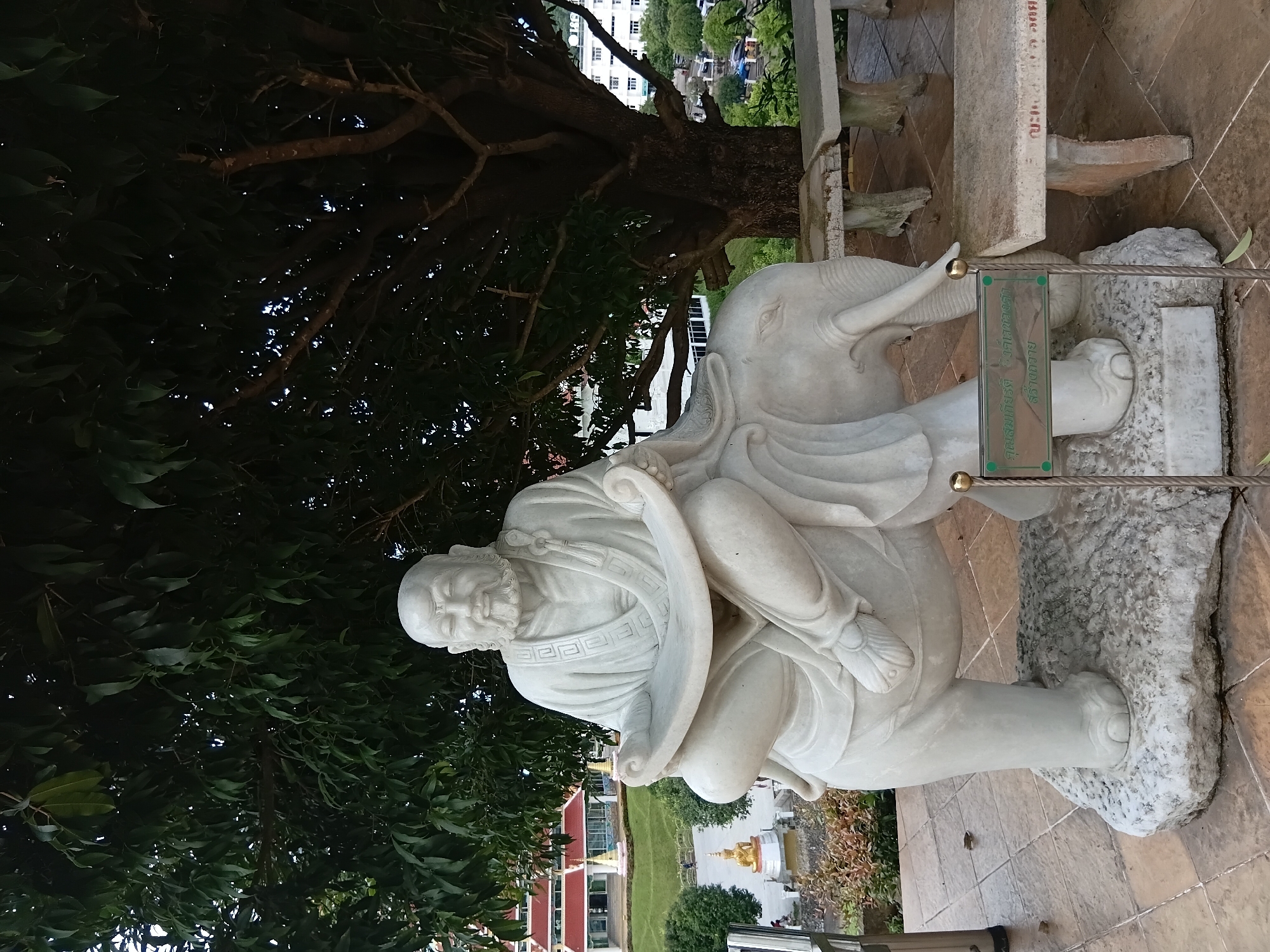 A white marble statue of a seated elder figure with a beard, wearing robes and holding a scroll, is positioned on the back of a white marble elephant. The statue is situated outdoors on a stone base, which rests on a tiled paved area. Behind the statue, a large tree with dense green foliage provides shade. In the background, there are buildings with red roofs, a golden Buddha statue on a pedestal, and more distant buildings. The scene appears to be in an outdoor public space or temple grounds. There is a metal sign with writing in Thai script to the right of the statue.