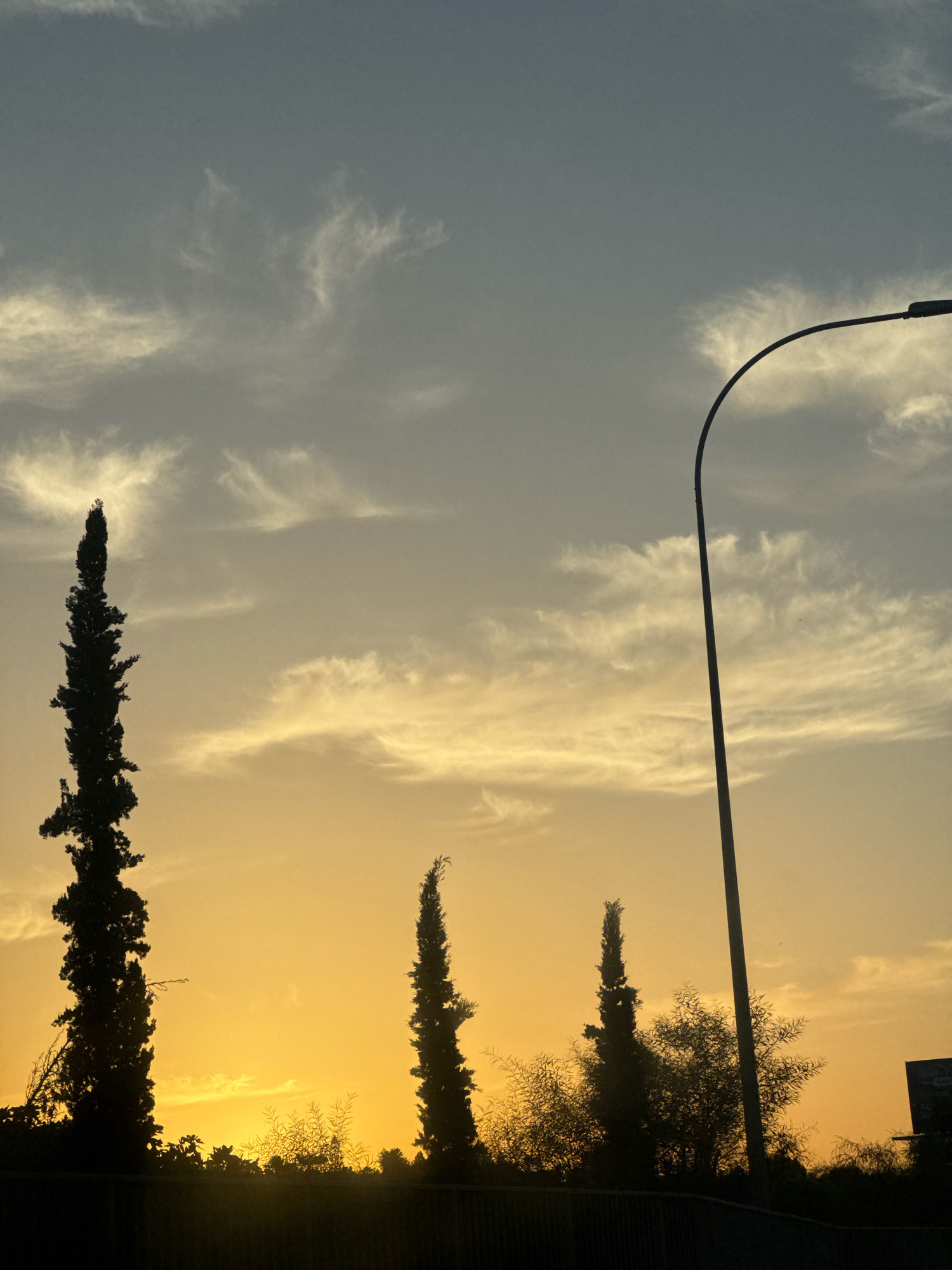 This image captures a silhouette of trees and a lamppost against a dramatic sunset sky in Germasogeia Municipality, Cyprus. The sky is filled with wispy, elongated clouds illuminated by the warm hues of the setting sun, transitioning from a bright yellow near the horizon to a darker gray at the top. Three tall, slender trees stand in silhouette in the foreground, with the tallest on the left. A curved lamppost is visible on the right, its dark shape contrasting with the vibrant sky. The lower part of the image shows the dark silhouettes of more trees and foliage, as well as a dark horizontal line that could be a railing or a wall. The overall scene evokes a sense of twilight and natural beauty within an urban or suburban setting.