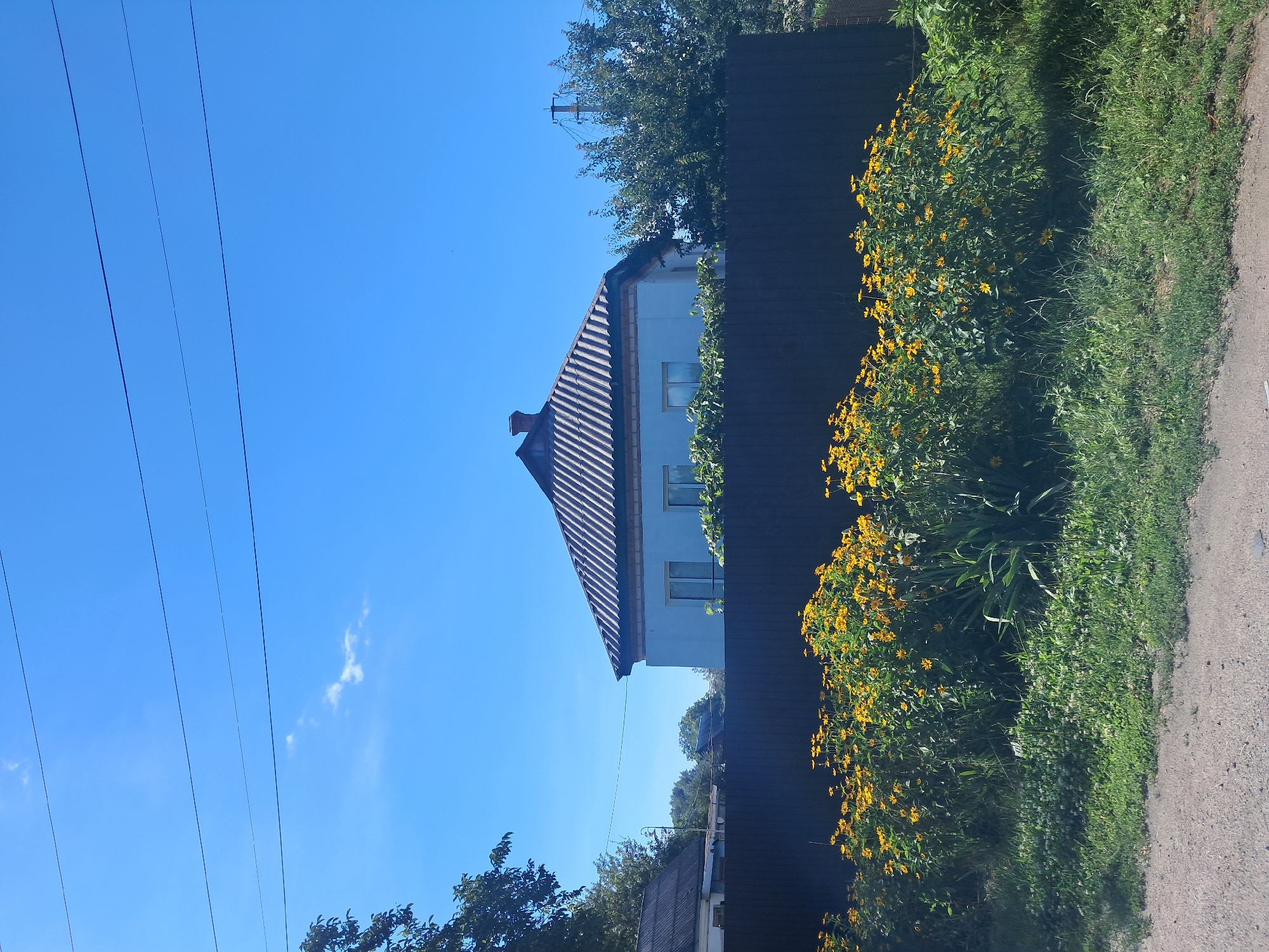 The image shows a residential property in Kremenchuk, Ukraine on a clear, sunny day. In the foreground, a patch of bright yellow flowers grows in front of a dark wooden fence. Behind the fence, a light blue house with a dark gray tiled roof is visible. The house has several windows with white frames. To the left of the blue house, another building with a dark, corrugated roof is partially visible. Trees and greenery surround the buildings. Overhead, electrical wires are strung across the bright blue sky, with a few wispy clouds. The ground in the immediate foreground appears to be a dirt or gravel path.