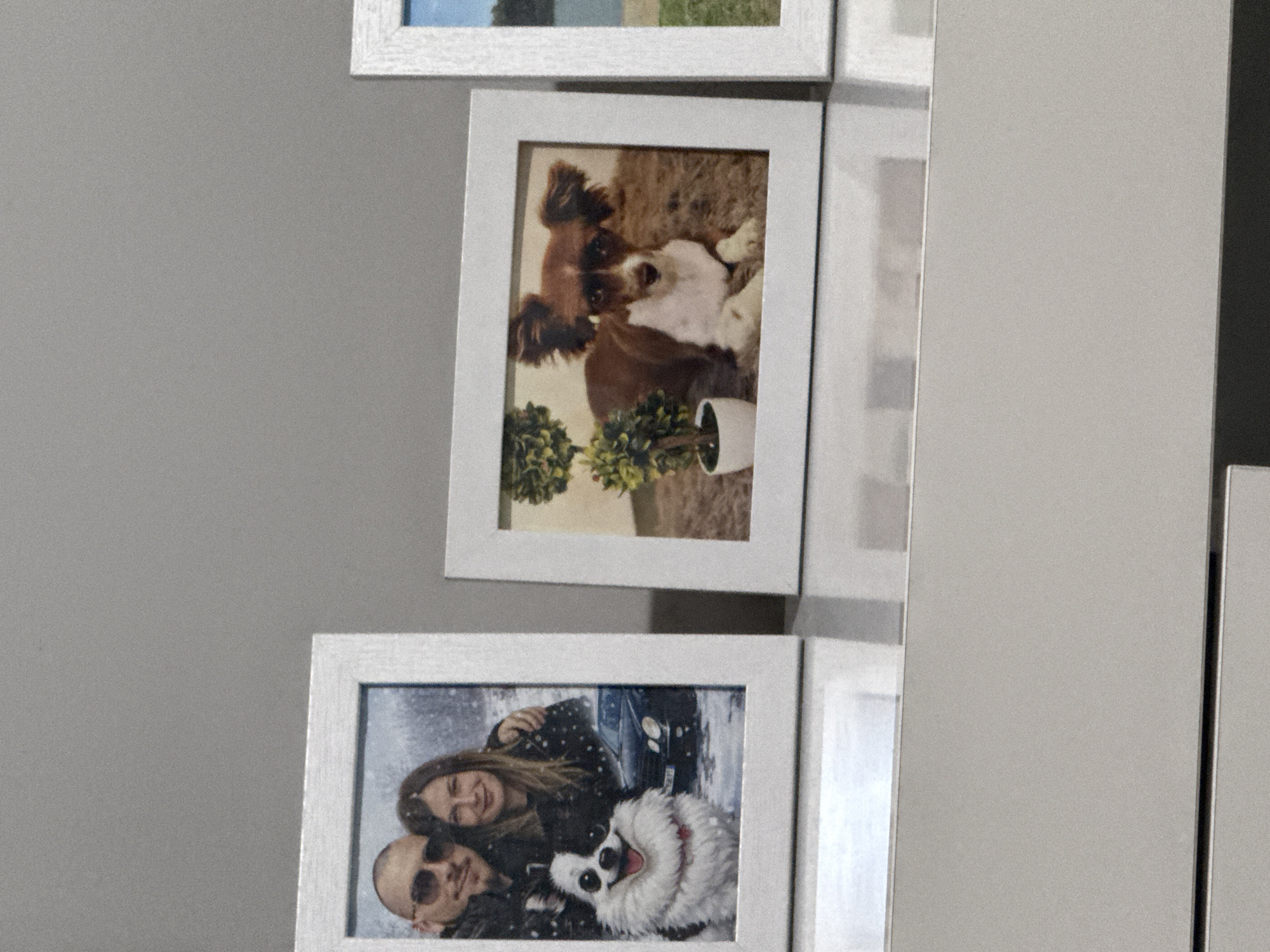 The image displays three framed photographs arranged on a shelf. The leftmost frame contains a picture of a man and a woman with a black and white dog in front of them, with a car visible in the background. The middle frame features a brown and white dog lying on a furry surface next to a potted plant. The rightmost frame shows a landscape scene with a body of water and green grassy areas. The background is a plain gray wall. The scene appears to be indoors, on a shelf in what could be a residential setting in Stara Zagora, Bulgaria.