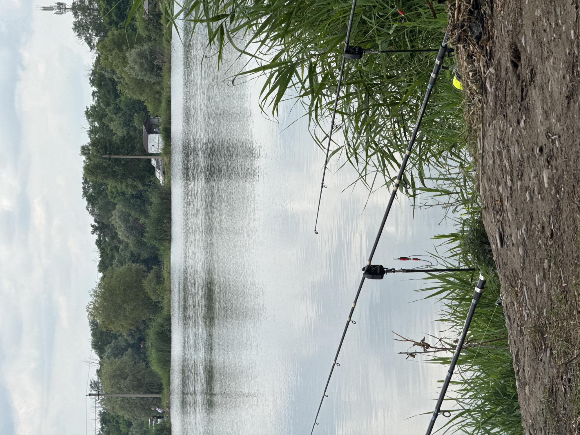 The image depicts a calm lake on an overcast day in Kochubeyevskoye, Russia. In the foreground, several fishing rods are set up on the shore, pointing towards the water. One rod has a black fishing bite indicator attached, with two red weights hanging below it. Tall green reeds and dry brush litter the shore. In the background, a dense line of trees borders the lake. A small, light-colored structure with a dark roof is visible among the trees, with a car parked nearby. Power lines and a cell tower are also present in the distance. Two individuals are standing near the structure, suggesting a recreational area. The water's surface is smooth, reflecting the cloudy sky.