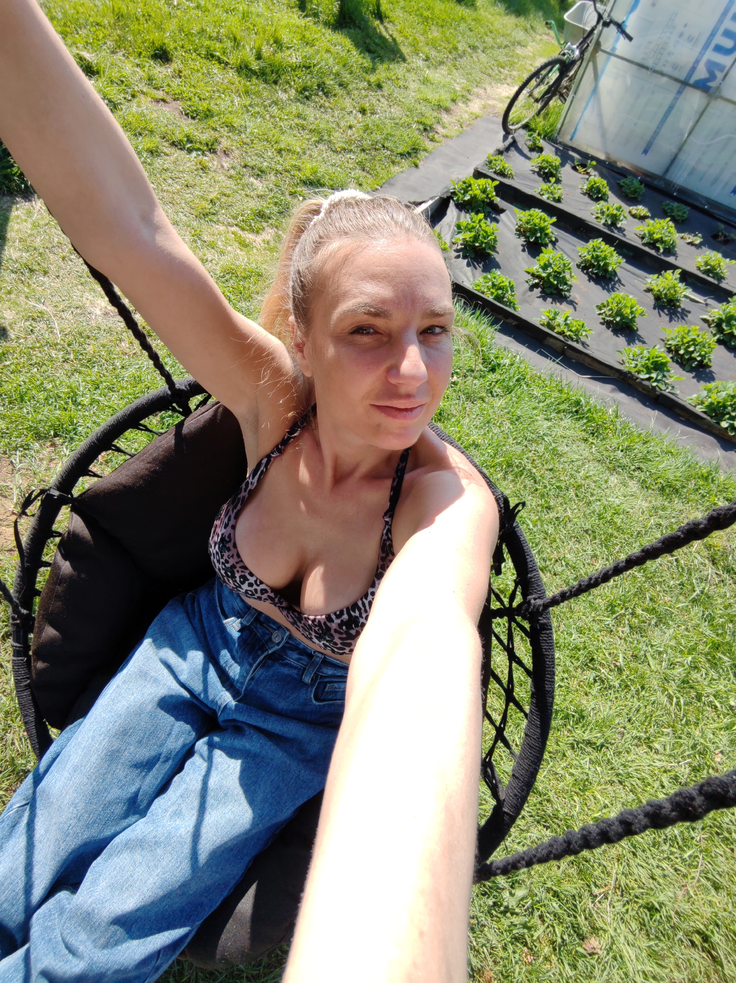The image captures a woman seated in a black hanging swing chair outdoors in the city of Unknown, Unknown. The woman has light-colored hair, pulled back, and is looking directly at the camera. She is wearing a leopard print bikini top and blue denim jeans. Her arms are extended forward, holding a camera device, indicating a selfie perspective. The swing chair has a black woven frame and a dark cushion. In the background to the right, a garden bed is visible, featuring rows of small green plants cultivated on black ground cover fabric. Behind the garden, a white, translucent structure, possibly a small greenhouse or shed, is present, with a bicycle leaning against it. The ground surrounding the swing chair and garden is covered in green grass, with some patches of visible soil. The scene is brightly lit by direct sunlight, casting shadows.