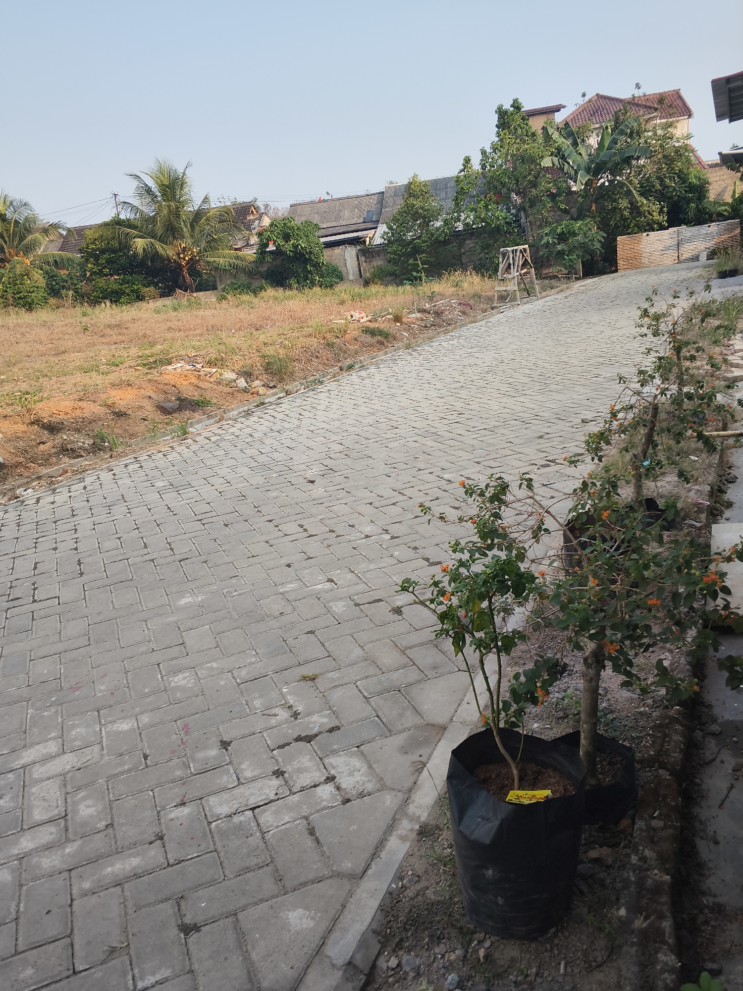 In the city of Banjar Agung, Indonesia, a paved walkway curves uphill, bordered by dry grass and dirt on the left and a row of potted plants on the right. The walkway is constructed from rectangular gray pavers. In the distance, a cluster of houses with tiled roofs and lush green trees are visible. The sky is a clear, pale blue.