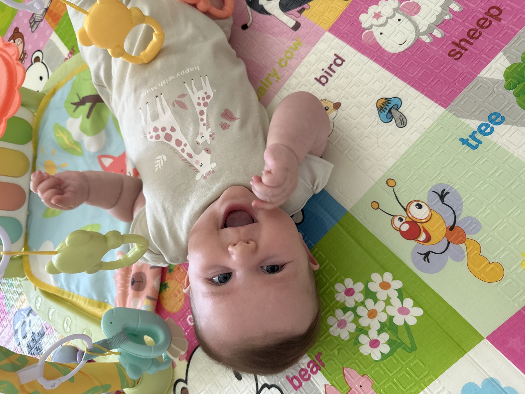 A baby lies on a colorful playmat. The baby is wearing a light-colored onesie with giraffe illustrations. The baby is looking up with an open mouth. Toys hang above and around the baby. The playmat features images of animals, plants, and associated words like "sheep," "bird," "tree," and "bear." The scene is indoors. There is no direct evidence to confirm the location in the city of Chaikovsky, Russia.