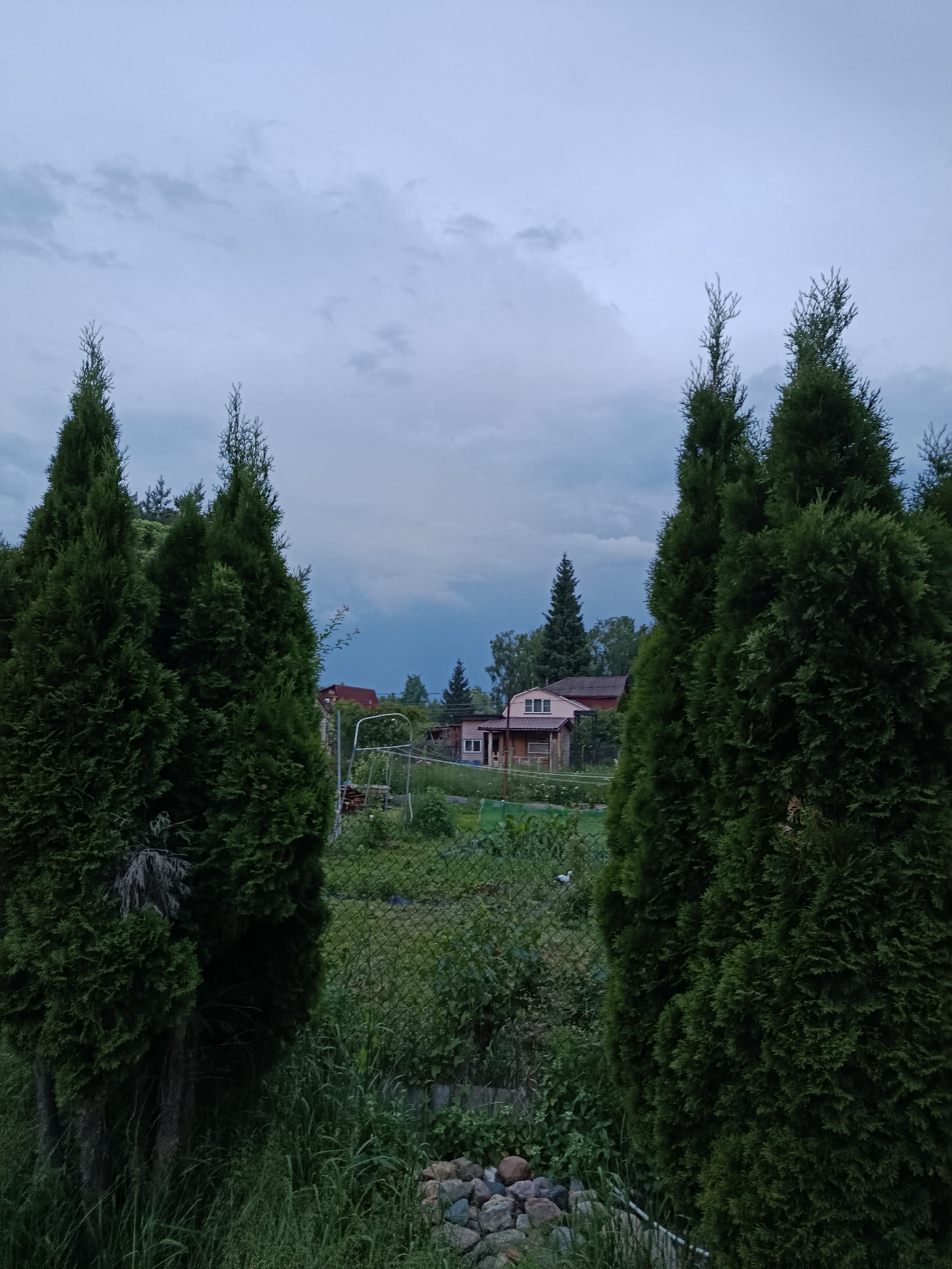 The image shows a view through two large, dense evergreen trees. In the background, there is a chain-link fence with overgrown grass and bushes. Beyond the fence, there is a garden area with some scattered stones and a metal structure that appears to be a swing set. Further back, a light-colored house with a reddish-brown roof is visible, along with another smaller building attached to it. More trees and some buildings are scattered in the distance under a cloudy, gray sky. The scene depicts a rural or suburban residential area, possibly a backyard in Alferovo, Russia. There are no people or animals visible in the image.