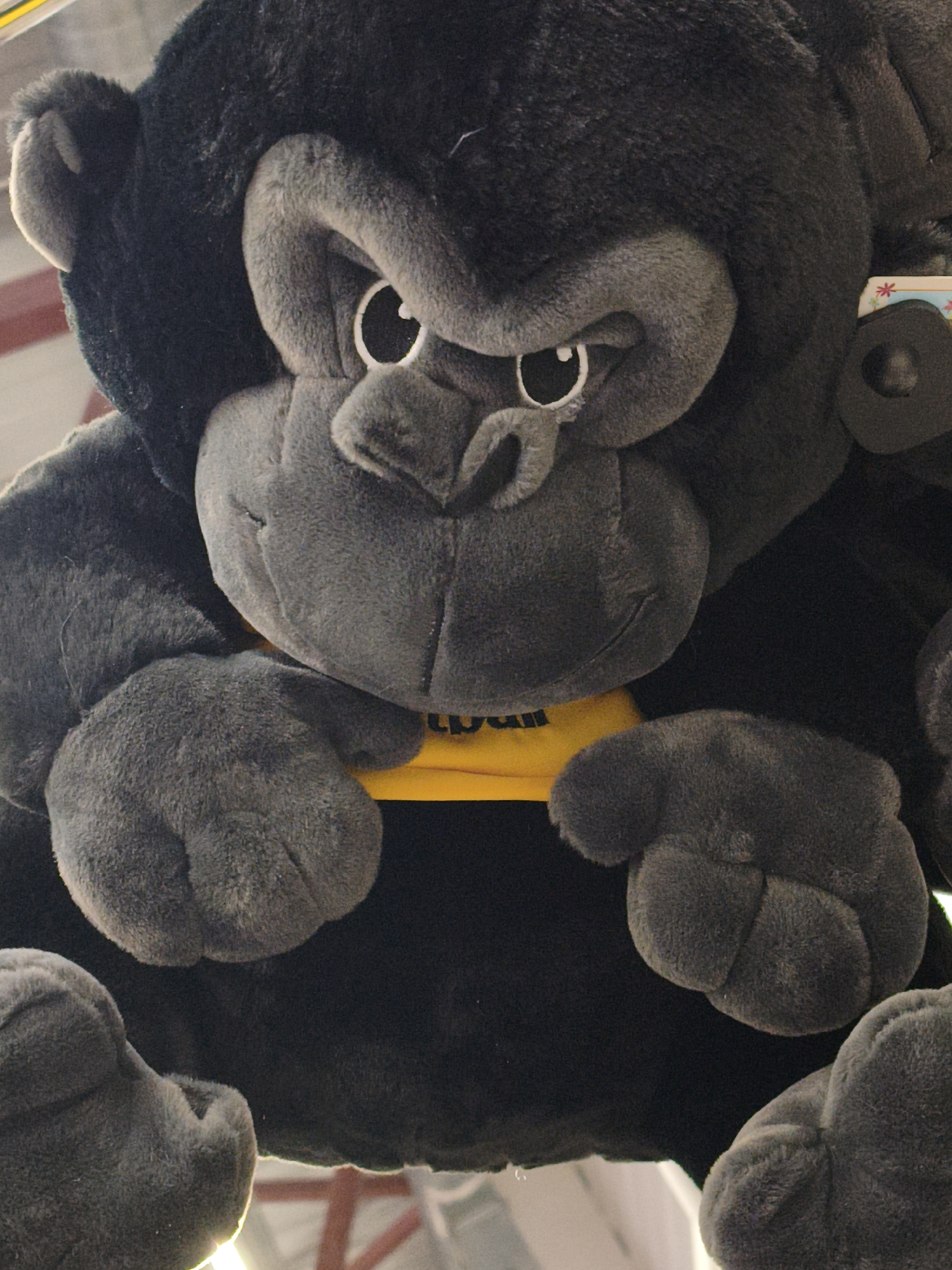 This media file features a close-up shot of a large, plush gorilla toy. The toy is primarily black and gray, with large, expressive eyes and a friendly, somewhat surprised expression. It has a yellow bib around its neck with some black text that appears to be "tpur". The gorilla is positioned centrally, filling most of the frame, with its hands resting in its lap. The background is blurred but suggests an indoor setting with hints of scaffolding or industrial elements, possibly a store or warehouse. A small colorful tag with a star design is partially visible on the right side of the toy, near its ear. The lighting is somewhat dim, creating soft shadows and highlighting the fuzzy texture of the plush material. There is no indication of time of day, weather, or a specific event taking place. The location is identified as Chaikovsky, Russia, but this context is not visually evident in the image itself. The overall impression is that of a large, soft, and approachable toy, possibly intended for display or sale.