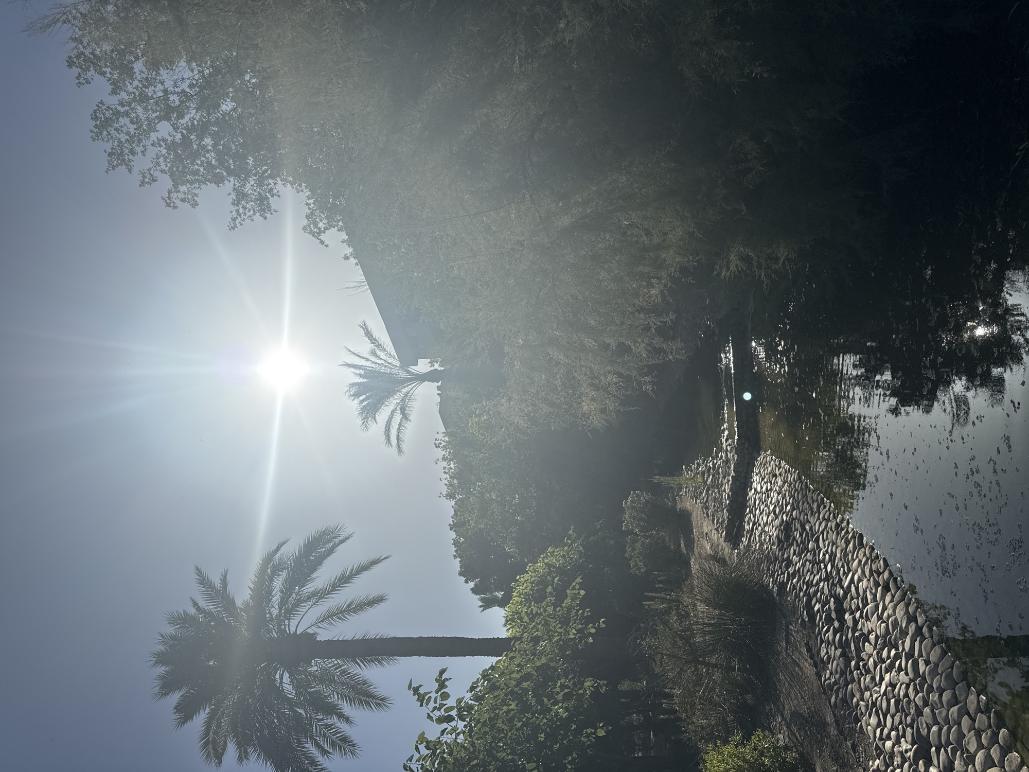 A tranquil scene unfolds in the city of Murcia, Spain, where the bright sun pierces through the clear sky, casting lens flares and illuminating a lush garden. Two prominent palm trees, one tall and slender, the other shorter and wider, stand sentinel against the azure backdrop. A small, serene stream meanders through the landscape, its surface reflecting the dappled sunlight and the surrounding greenery. The stream banks are artfully lined with smooth, rounded stones, creating a natural, inviting path. Dense foliage, a vibrant mix of trees and shrubs, forms a verdant curtain, with sunlight subtly filtering through their leaves, casting shadows and creating a play of light and dark. A building is partially visible amidst the trees, hinting at human presence within this natural oasis. The overall atmosphere is one of peaceful solitude and natural beauty, a hidden gem within the urban landscape.