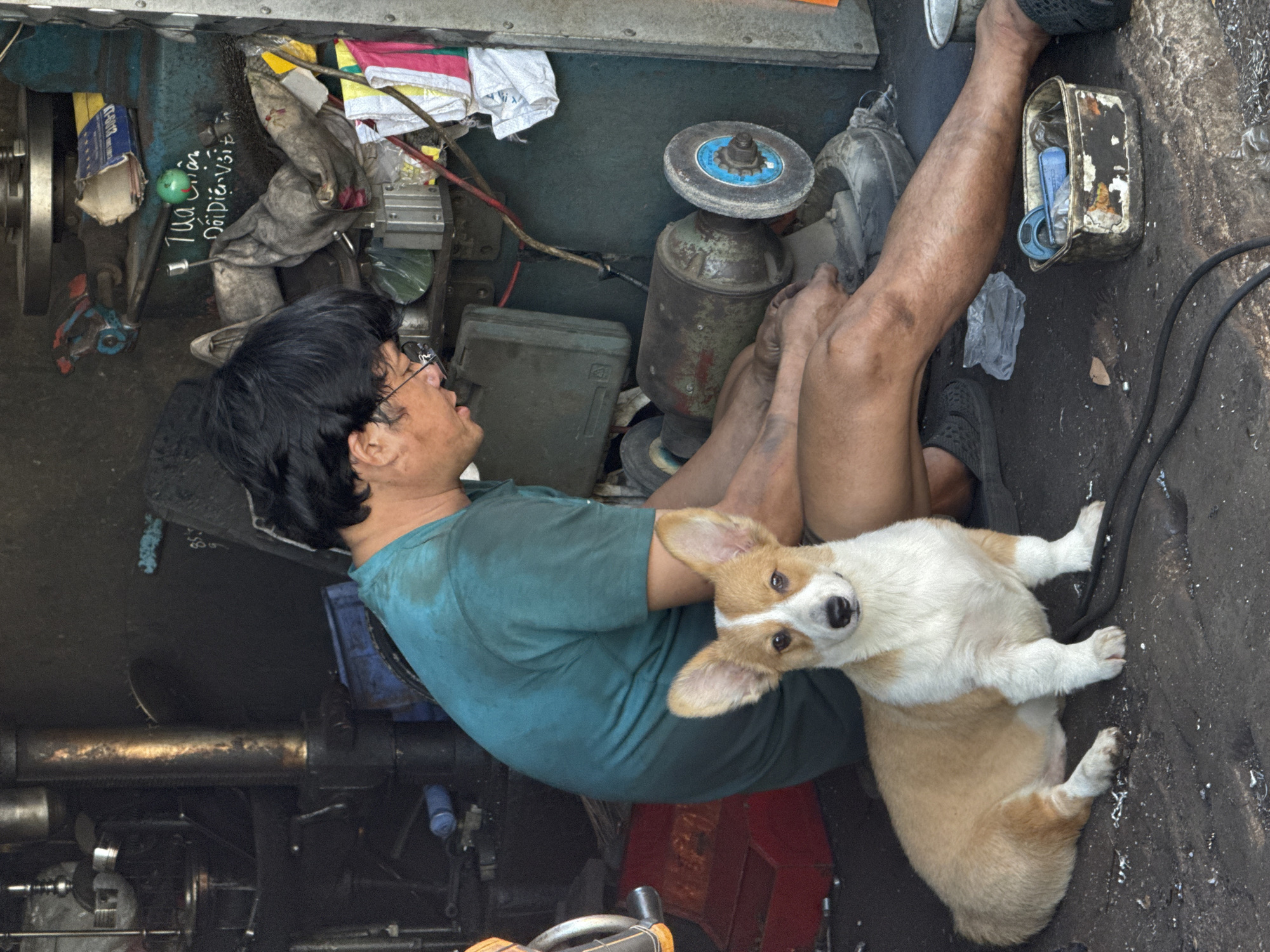 In a cluttered workshop environment, likely located in Bac Nha Trang Ward, Vietnam, a man with dark hair and glasses, wearing a teal t-shirt, is engaged in work. He is sitting on the floor, his legs extended, and appears to be operating a grinding wheel machine. His hands are dirty, suggesting he is actively involved in a manual labor task. To his left and in the foreground, a young Pembroke Welsh Corgi dog with white and tan markings is sitting and looking directly at the camera. The dog has large, erect ears and a calm demeanor. The workshop is filled with various tools and machinery, including what appears to be a drill press on the left, various containers, wires, and piles of materials, indicating a functional but unorganized workspace. The overall lighting suggests an indoor or partially covered outdoor setting.