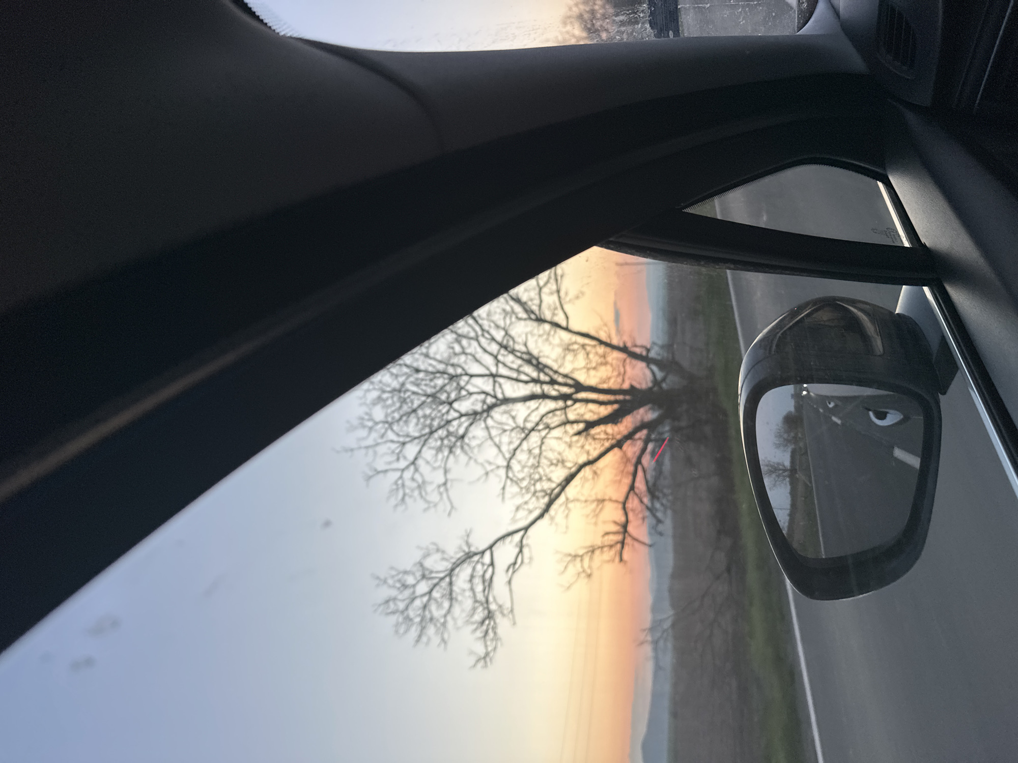 The photograph is taken from inside a car, looking out the passenger-side window and the side mirror. The scene outside is of a roadside with a large, bare tree silhouetted against a sunset sky. The sky is a gradient of colors, transitioning from a pale blue at the top to orange and yellow near the horizon. The side mirror reflects the road and a similar tree in the distance. The location, Sadievo, Bulgaria, is inferred from the context. No people or actions are directly visible in the image.