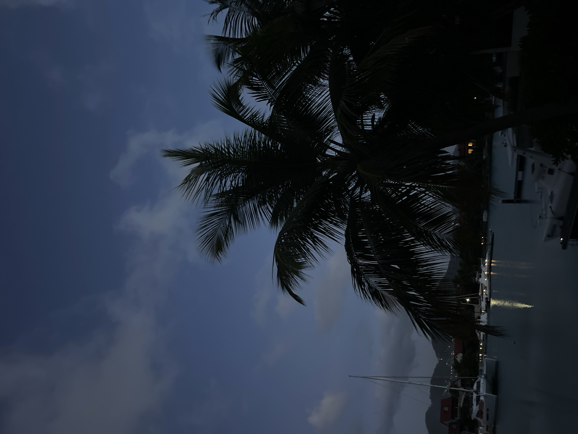The image depicts a serene twilight scene at a harbor in Providence, Seychelles. A large palm tree dominates the foreground, its fronds silhouetted against a dusky blue sky with scattered clouds. In the background, several sailboats and yachts are moored in the calm water, their reflections shimmering on the surface. A few buildings with red roofs are visible on the shore, nestled amongst lush greenery. The overall atmosphere is peaceful and tranquil, evoking a sense of tropical paradise.