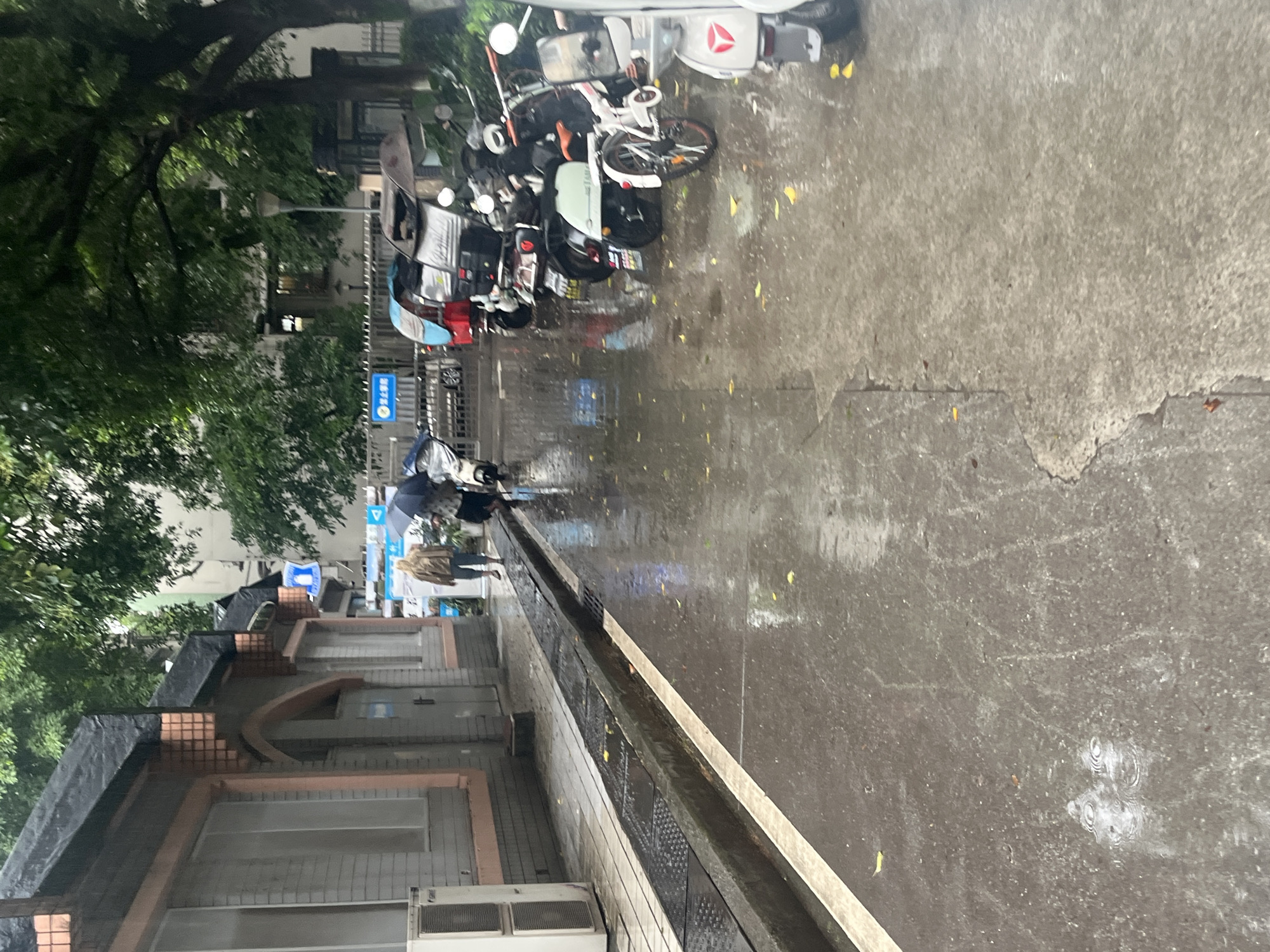 This image captures a street scene in Yuzhong District, China, under overcast conditions, with evidence of recent or ongoing rain. The ground, including the asphalt road and tiled sidewalk, is wet and reflects light, with visible puddles and ripples from raindrops.
On the left, a low-rise building features light-colored brick or stucco walls, accented with pale orange trim around window frames and architectural details. Its roof is partially covered with a dark, tarpaulin-like material. An outdoor air conditioning unit is mounted on the building's exterior wall near the bottom left. A raised concrete curb separates the sidewalk from the road, with metal drainage grates embedded in the sidewalk.
Two individuals are visible in the middle distance, walking away from the camera on the wet pavement. One person, positioned to the left, wears a light brown or tan jacket and light-colored lower garments. The second person, to their right, holds a dark umbrella open above both of them, indicating protection from precipitation. This individual is dressed in dark clothing.
To the right side of the road, numerous electric scooters and bicycles are parked. Several are covered, and at least two appear to be three-wheeled electric tricycles, one red and one silver/grey. A white electric bicycle with an orange seat is prominently visible, and another white scooter is partially cropped in the foreground.
The background reveals dense green foliage from large trees, partially obscuring other buildings and a lamppost. A metal fence runs along the back, behind which a blue "No Parking" sign (禁止停车) is visible. Yellow leaves are scattered on the wet ground, adding subtle color to the grey palette.