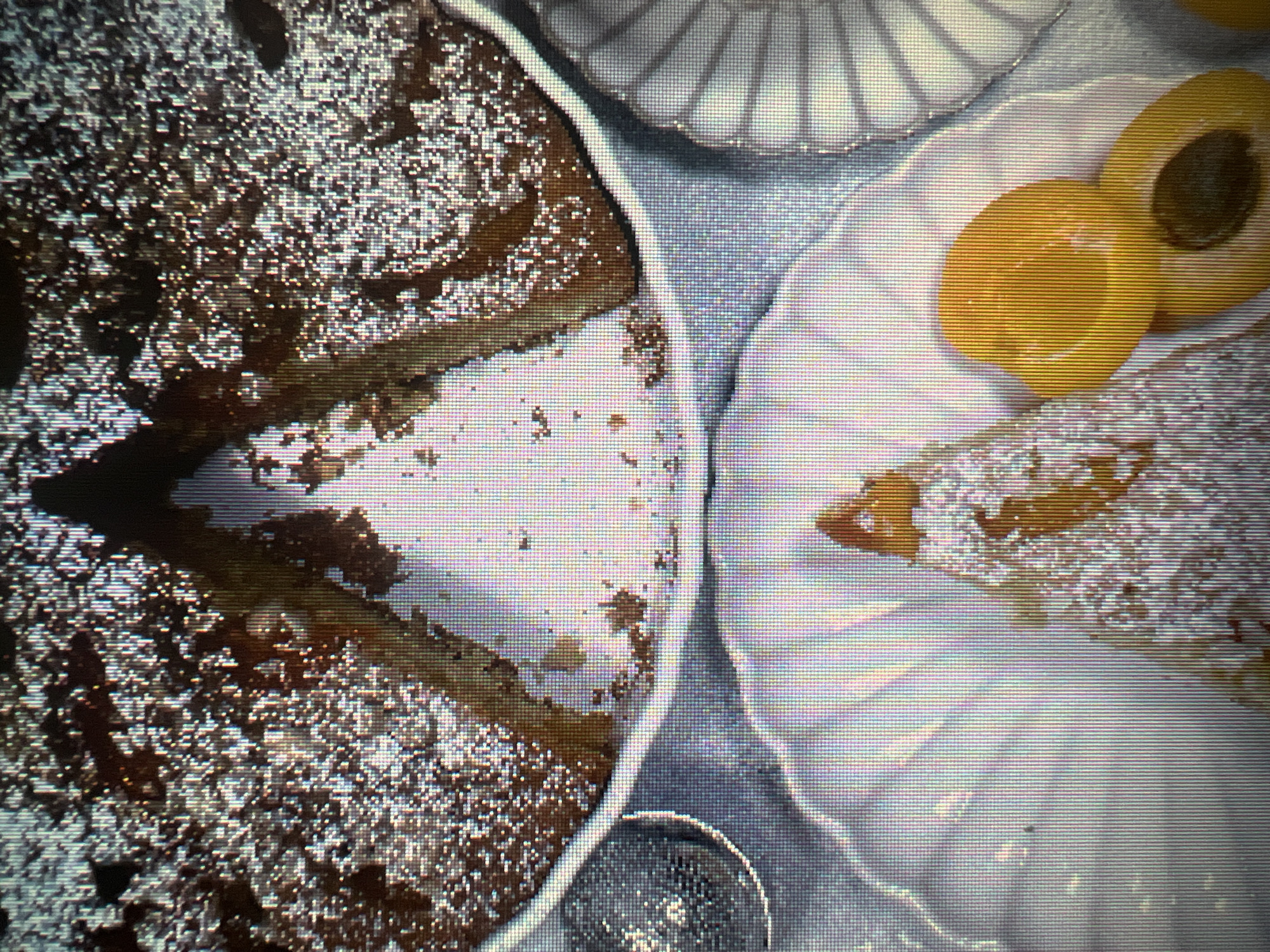 A close-up, top-down shot shows a partially eaten cake dusted with powdered sugar. Two triangular slices have been removed from the whole cake, revealing its interior. In the foreground, a single slice of cake is served on a decorative white plate, garnished with two apricot halves. The overall presentation suggests a dessert setting.