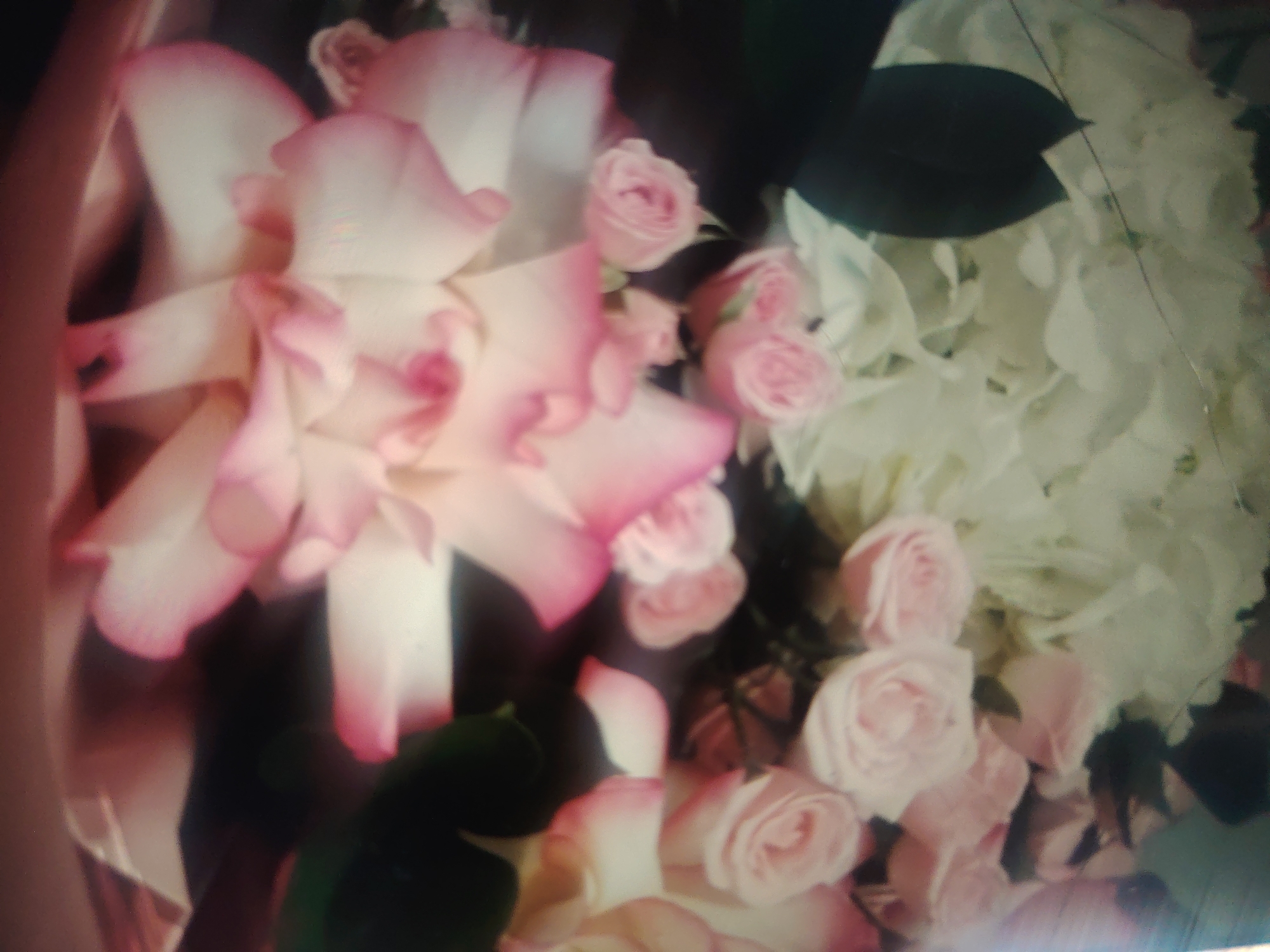 A close-up, slightly blurry photograph captures a bouquet of roses in various shades of pink and white. The flowers are densely packed, with some larger, open blooms in the foreground and smaller buds interspersed. Dark green leaves are visible in the background, adding contrast to the soft floral arrangement. The lighting appears to be ambient and diffused, creating a gentle, romantic atmosphere. The image does not provide any discernible details about the city of Qunduzak, Uzbekistan, or any specific location within it, nor does it show any people, actions, or interactions.