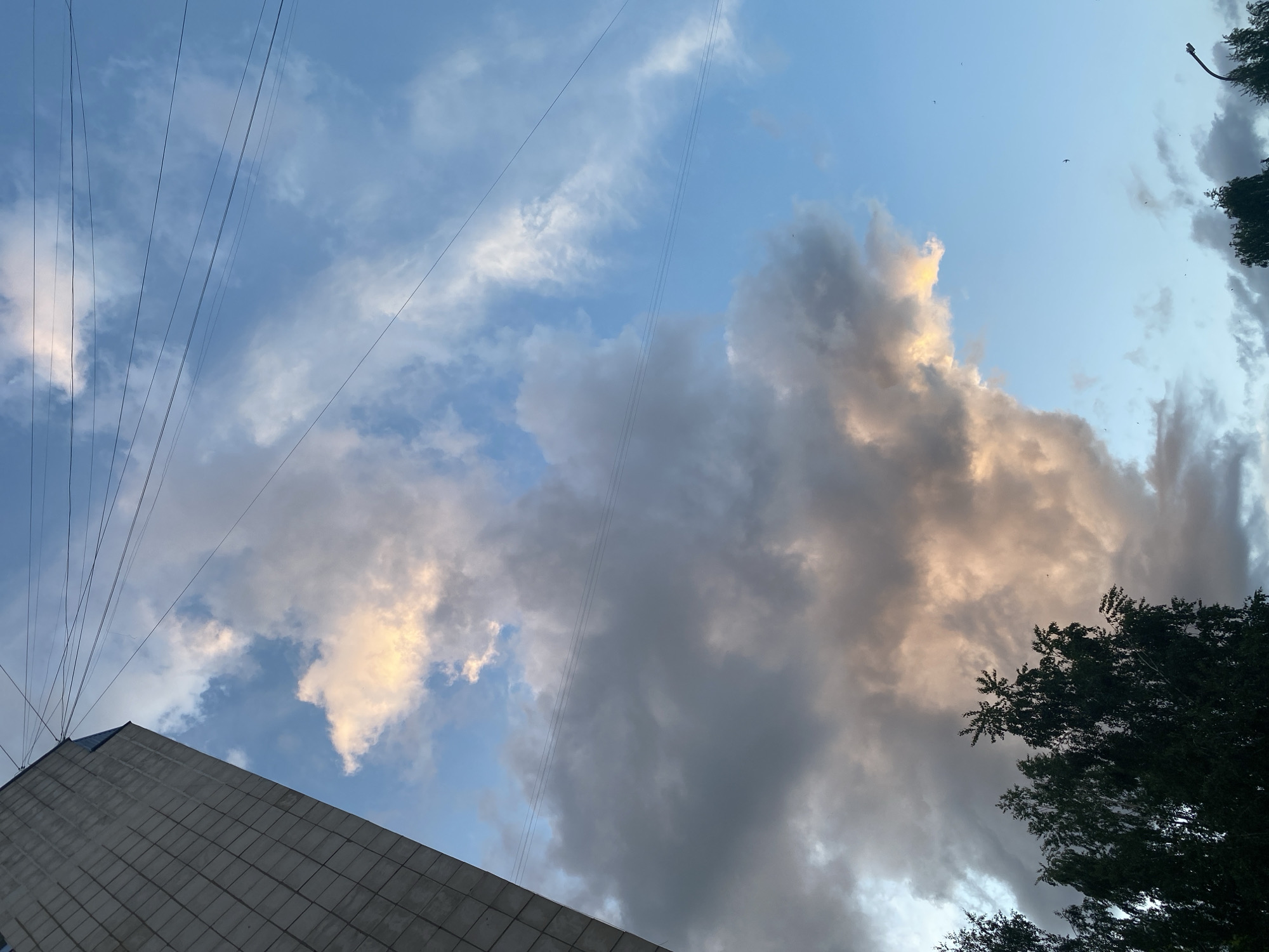 The image shows a low-angle shot of the sky with clouds, trees, a building, and overhead power lines. The building, likely a commercial or residential structure, has a tiled exterior and is positioned in the lower-left corner. Power lines extend from the left edge of the frame towards the center of the sky. Clouds of varying shades of gray and white fill the sky, with some illuminated by a soft golden light. Trees are visible on the right edge of the frame. The location is consistent with a scene in a city like Chaikovsky, Russia, where such buildings, infrastructure, and environmental features coexist. No people are visible.