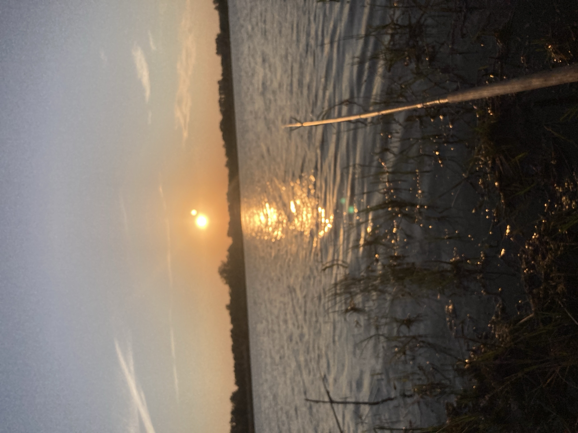 This is a vertical, low-angle shot of a body of water at sunset, possibly a lake or river, in Rakity, Russia. The sun, a bright orange orb, is low in the sky, casting a golden shimmer across the rippling surface of the water. Tall grass and reeds grow along the right bank of the water, silhouetted against the fading light. A thin, light-colored fishing rod extends from the right side of the frame into the water, suggesting someone is fishing. The sky transitions from a soft, hazy orange near the horizon to a pale blue overhead, with faint streaks of clouds visible. The overall mood is serene and peaceful, evoking a sense of tranquility often associated with dusk and nature. There is no visible text in the image.