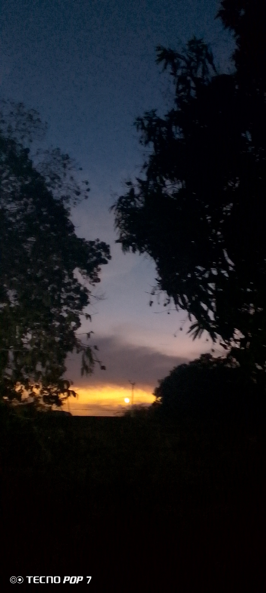 The image captures a sunset in Altagracia, Venezuela. The sky transitions from dark blue at the top to orange and yellow near the horizon. Silhouetted trees frame the view on both sides. The sun is partially visible, appearing as a bright orb against the horizon. In the foreground, the ground is dark and obscured. A faint light pole is seen. The image was taken with a Tecno Pop 7 phone.
