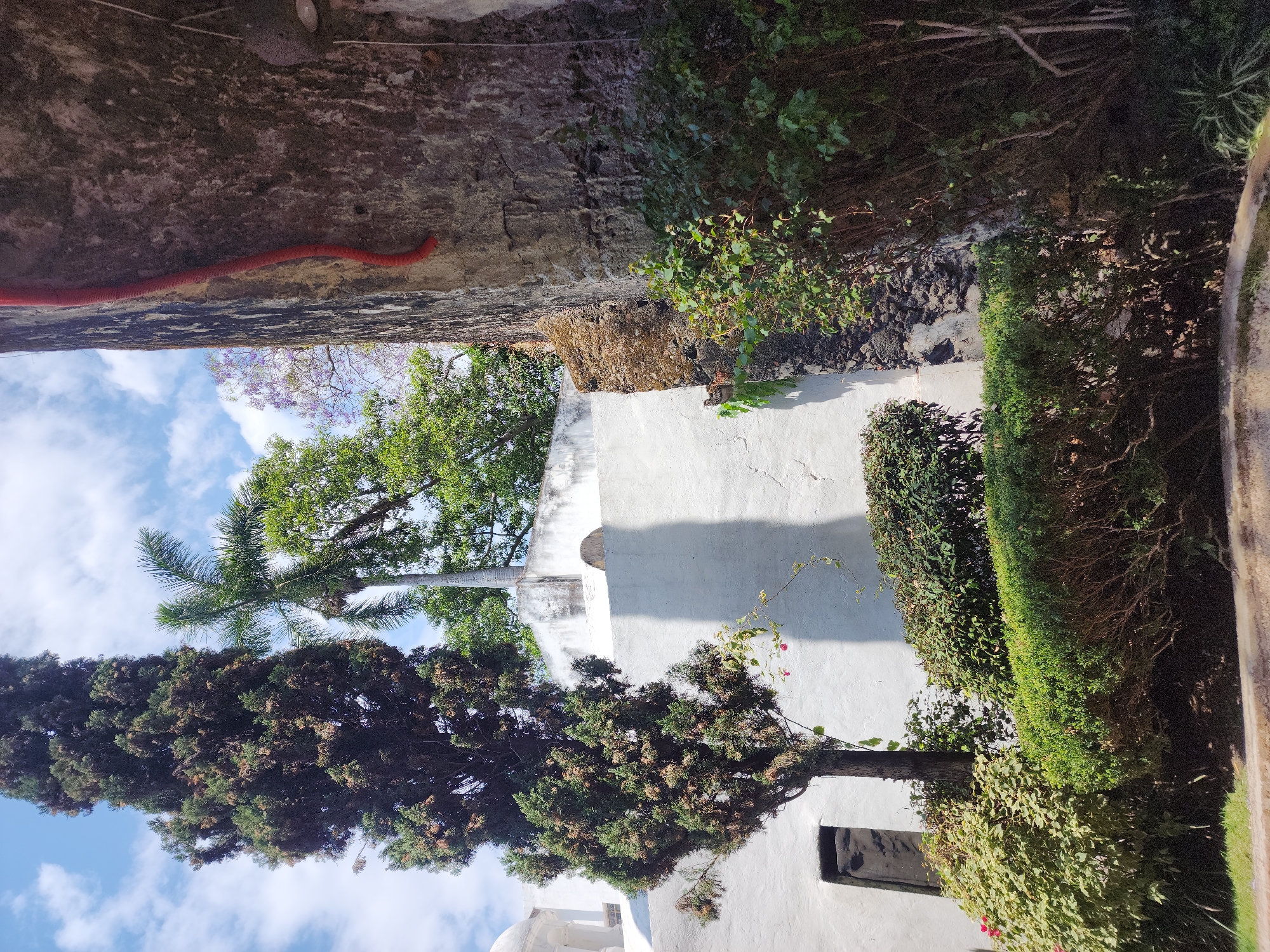 The image shows an upward-facing view of a building exterior with a white wall. Tall green trees are visible to the left and above the building. There is a red conduit running along the top of a textured, gray wall. A trimmed hedge runs along a wall on the right. The sky is visible through the trees and is light blue with scattered clouds. The location is Unknown, Unknown.