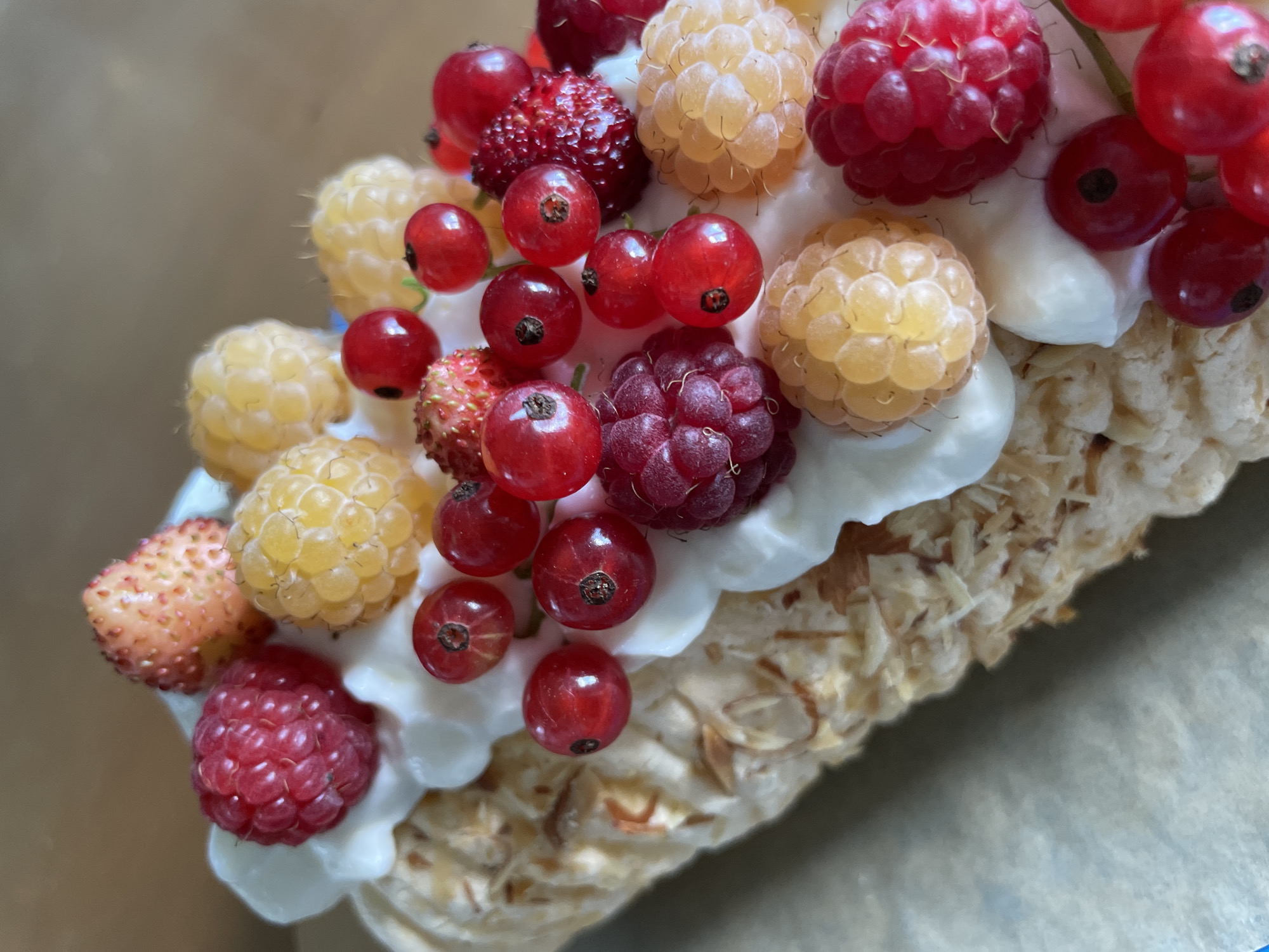 A close-up, eye-level shot showcases a dessert topped with a variety of fresh berries and dollops of white cream. The dessert appears to be a layered pastry or meringue base, visible on the left side of the frame, with a textured, golden-brown surface. The berries include bright red raspberries, pale yellow raspberries, small red currants, and a few tiny, pinkish-red wild strawberries. The cream is swirled and unevenly distributed around the berries. The background is a muted, neutral tone, possibly a table or countertop. There are no people or animals present in the image. The location of Дресвяново, Russia is not indicated in the image.