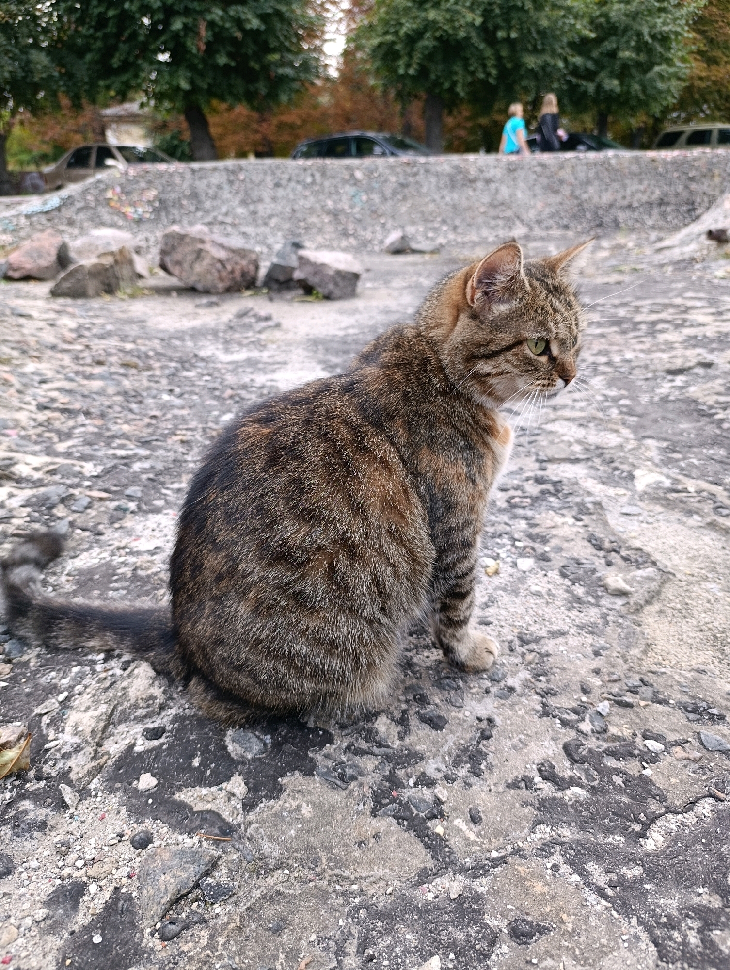 A tabby cat sits on a cracked concrete surface with scattered rocks and debris in Cherkasy, Ukraine. In the background, a low concrete wall is visible, behind which are trees and several cars. Two individuals, one wearing a blue shirt and the other a black top, are standing in the distance. The cat is facing to the right, with its body oriented towards the viewer. The ground is a mix of rough concrete and smaller stones.