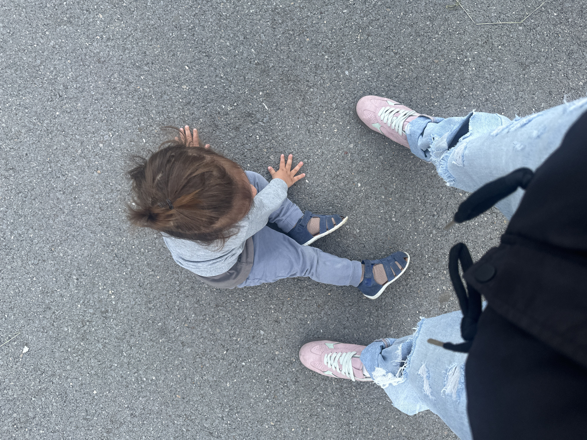 An overhead shot captures a toddler in light blue pants and a grey long-sleeved shirt, with dark hair pulled up in a bun, on grey asphalt. The toddler is reaching out with their right hand, palm open, towards the ground. To the left and right of the toddler are the legs of an adult wearing ripped light blue jeans and pink sneakers with light blue laces. The adult's legs are positioned as if standing or walking, with one foot slightly behind the other. The background is solely composed of the textured grey asphalt, typical of a sidewalk or road surface. No specific identifying landmarks of Sofia, Bulgaria are visible.