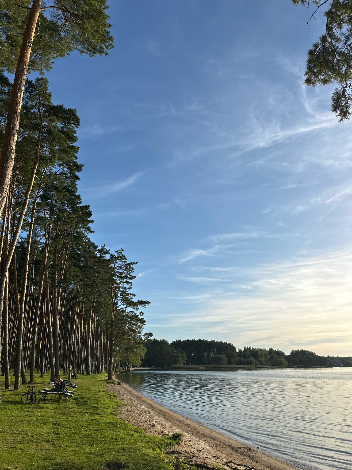 A long shot captures a serene lakefront lined with tall pine trees in the Zhdanovichi rural council, Belarus. The sunlit scene features a sandy shore leading to calm, rippling water. A dense forest of evergreens forms a backdrop across the lake. In the foreground, a grassy area hosts two bicycles parked near a wooden bench where a person sits. The sky above is a clear blue with wispy white clouds, bathed in the warm glow of late afternoon or early evening sun.