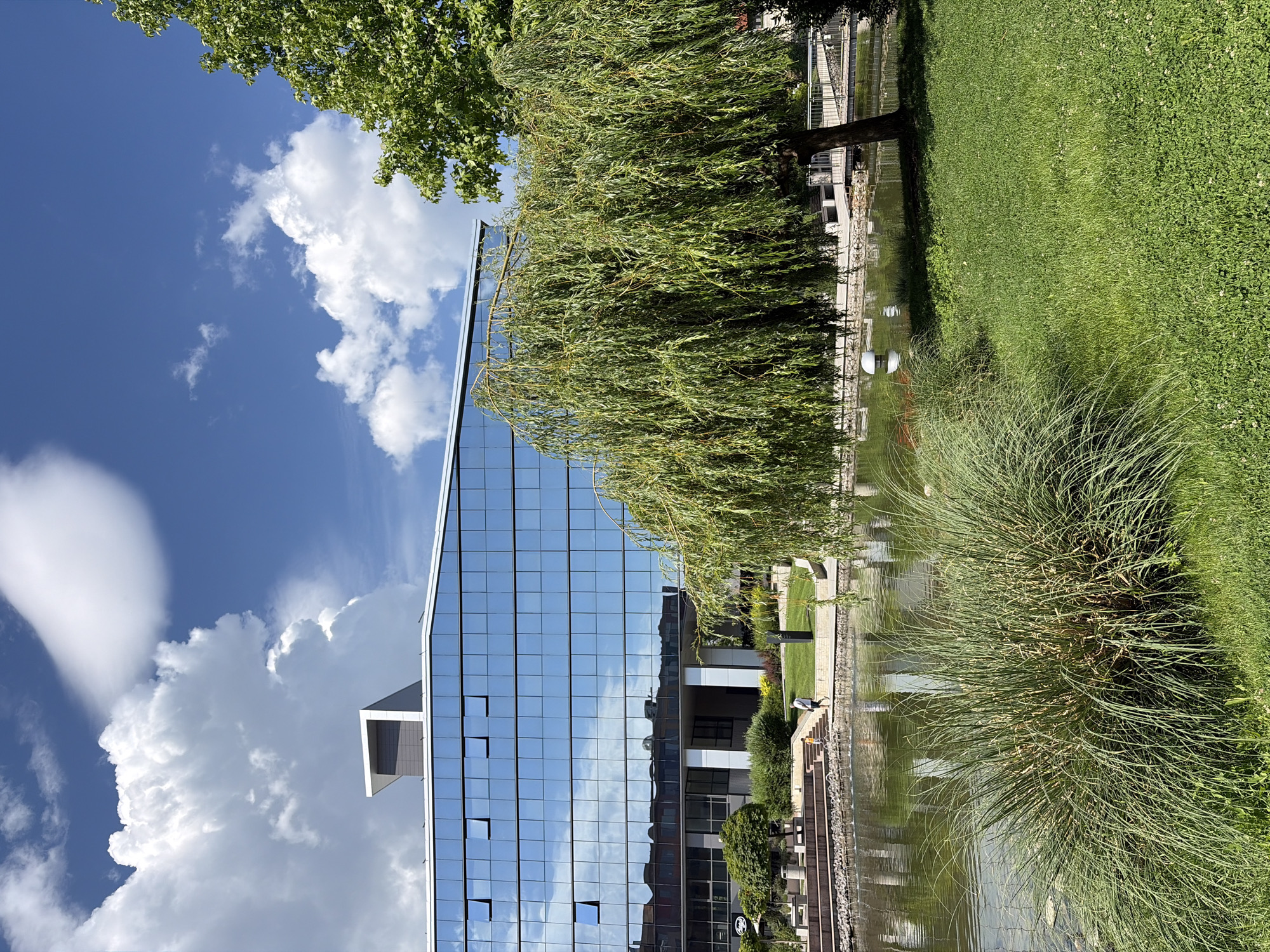 The image depicts a modern office building with a glass facade, a man-made pond, lush greenery, and a bright blue sky with dramatic clouds. The building, located in Sofia, Bulgaria, has multiple floors with rows of windows that reflect the sky and surrounding trees. A weeping willow tree with long, drooping branches stands prominently in the foreground, its leaves casting shadows on the water. The pond has a natural, irregular shape and is surrounded by stone steps and manicured grass. A person is visible walking along the edge of the pond, and another person is walking on the steps behind them. The overall scene suggests a tranquil urban environment, possibly a corporate campus or a public park within the city.