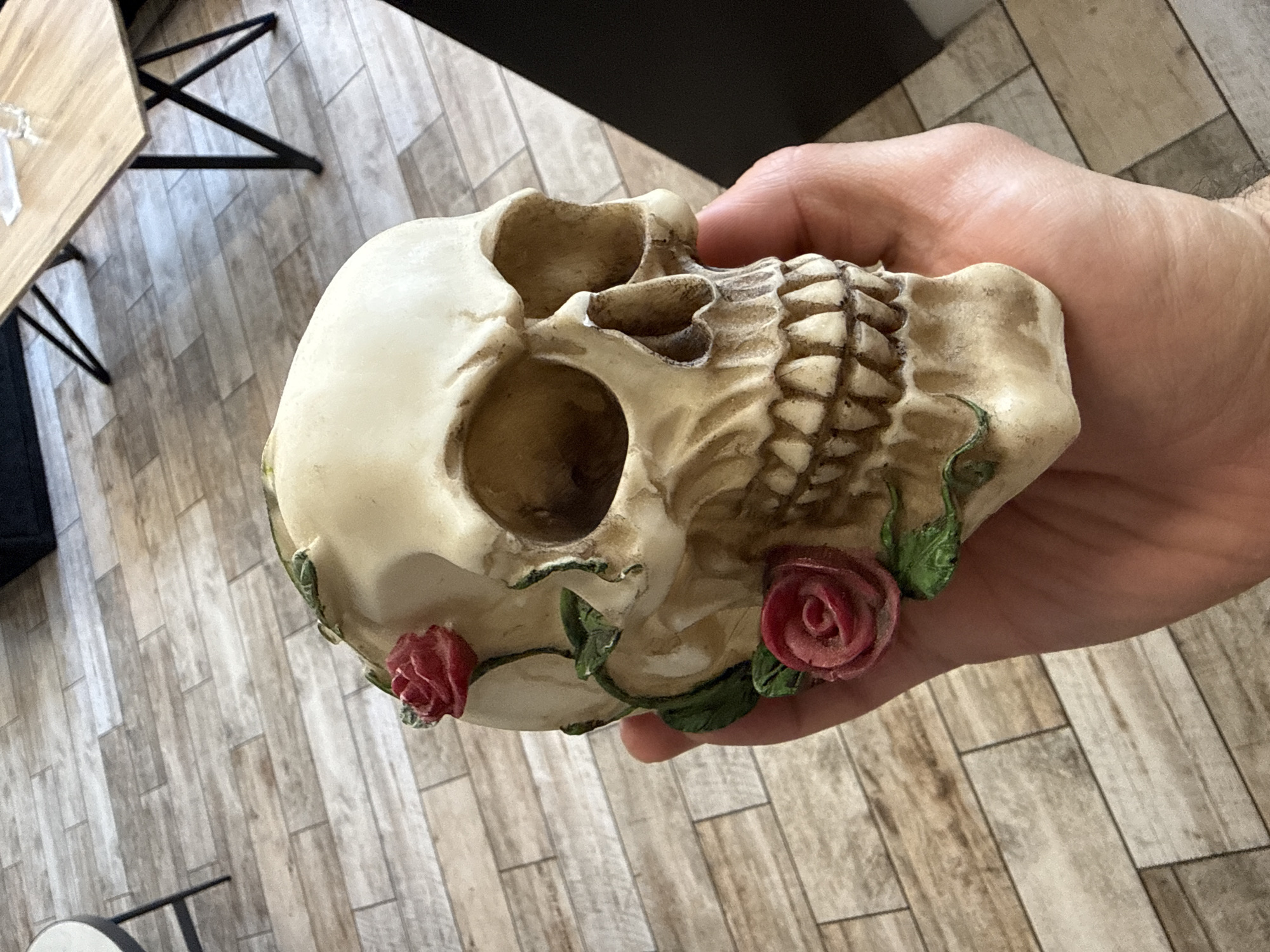 A human hand holds a decorative skull with rose accents against a blurred background of light wood-patterned floor tiles and furniture. The skull is off-white with brown shading to highlight details, with two red roses and green leaves attached. The context of Sofia, Bulgaria is not evident in this image.