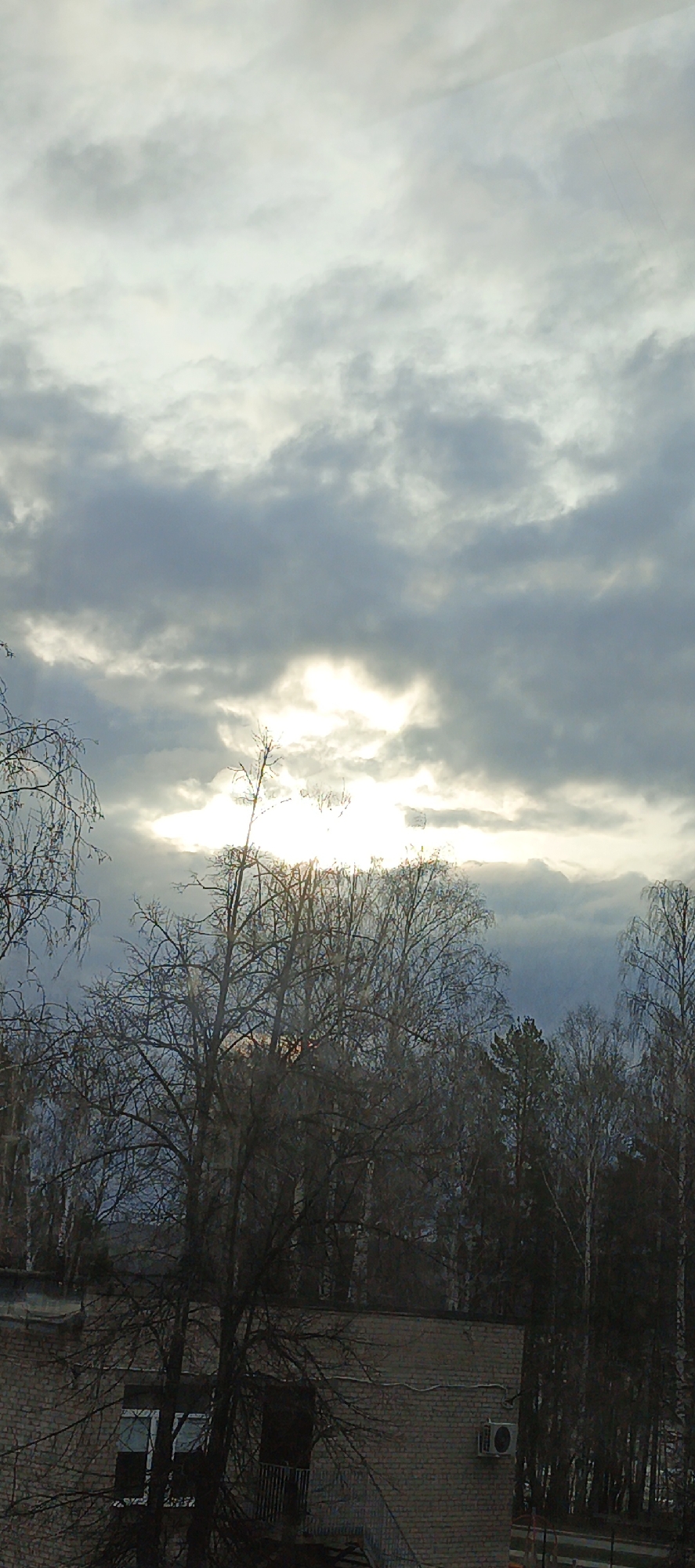 The image, likely taken in the city of Chaikovsky, Russia, depicts a cloudy sky with a glimpse of sunlight breaking through, partially obscured by a dense thicket of bare trees. Below the trees, a brick building with windows and a balcony is visible. The overall scene appears to be taken from an elevated vantage point, possibly from another building or higher ground. The trees are leafless, suggesting either a late autumn or winter season. The environment is urban, with a mix of nature and architecture present.