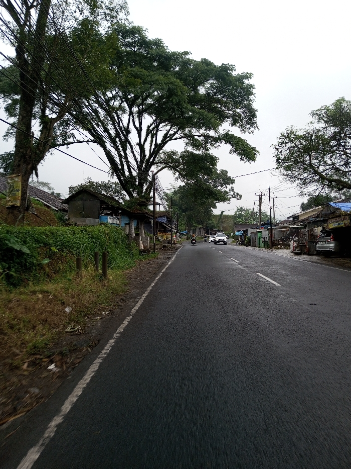 The image depicts a paved two-lane road in the city of YonPhoogla, Bhutan, under an overcast sky. The road, dark asphalt with a white edge line on the left and a broken white center line in the distance, recedes into the background. A single person on a motorcycle is visible traveling away from the viewer in the road's center, followed by two white cars further down.
To the left of the road, a dirt and brown grass shoulder transitions to an elevated bank covered in dense green vegetation. Several wooden posts are embedded in this vegetation. Behind the bank, a line of simple, low-rise structures, possibly houses or shops, with various roof types including corrugated metal, are partially visible. A prominent, large tree with extensive dark green foliage and numerous branches dominates the left side of the frame, with multiple dark electrical wires running through its canopy and connected to a visible utility pole.
To the right of the road, a series of similar single-story structures, appearing as shops or residences, are aligned along the street. Some feature partial blue tarpaulin coverings. A silver car is parked next to one of these buildings on the right. Multiple utility poles with associated power lines are present along the right side of the road, extending into the background. The overall environment appears rural or semi-urban.