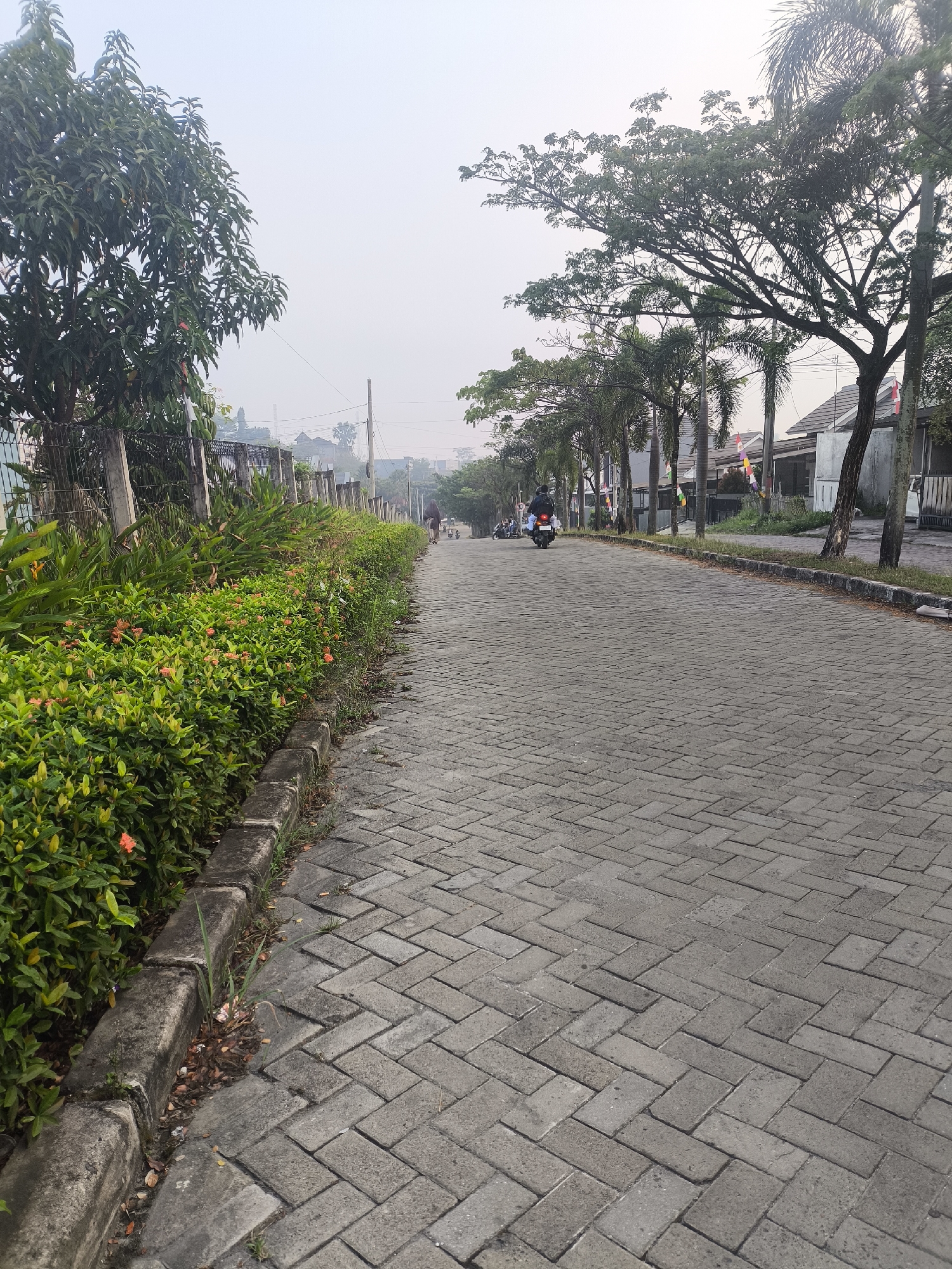 The image depicts a paved road in the city of Cilegon, Indonesia, likely a residential area, on a hazy day. The road is constructed with interlocking gray pavers laid in a herringbone pattern. A low, overgrown hedge with small orange flowers lines the left side of the road, separated by a concrete curb. Beyond the hedge, a metal fence is visible, followed by trees with dense foliage. The right side of the road features a row of houses with tiled roofs and a line of palm trees. Several people are present on the road. In the distance, two individuals on motorcycles are traveling away from the camera. The sky is overcast and appears hazy, typical of urban environments.