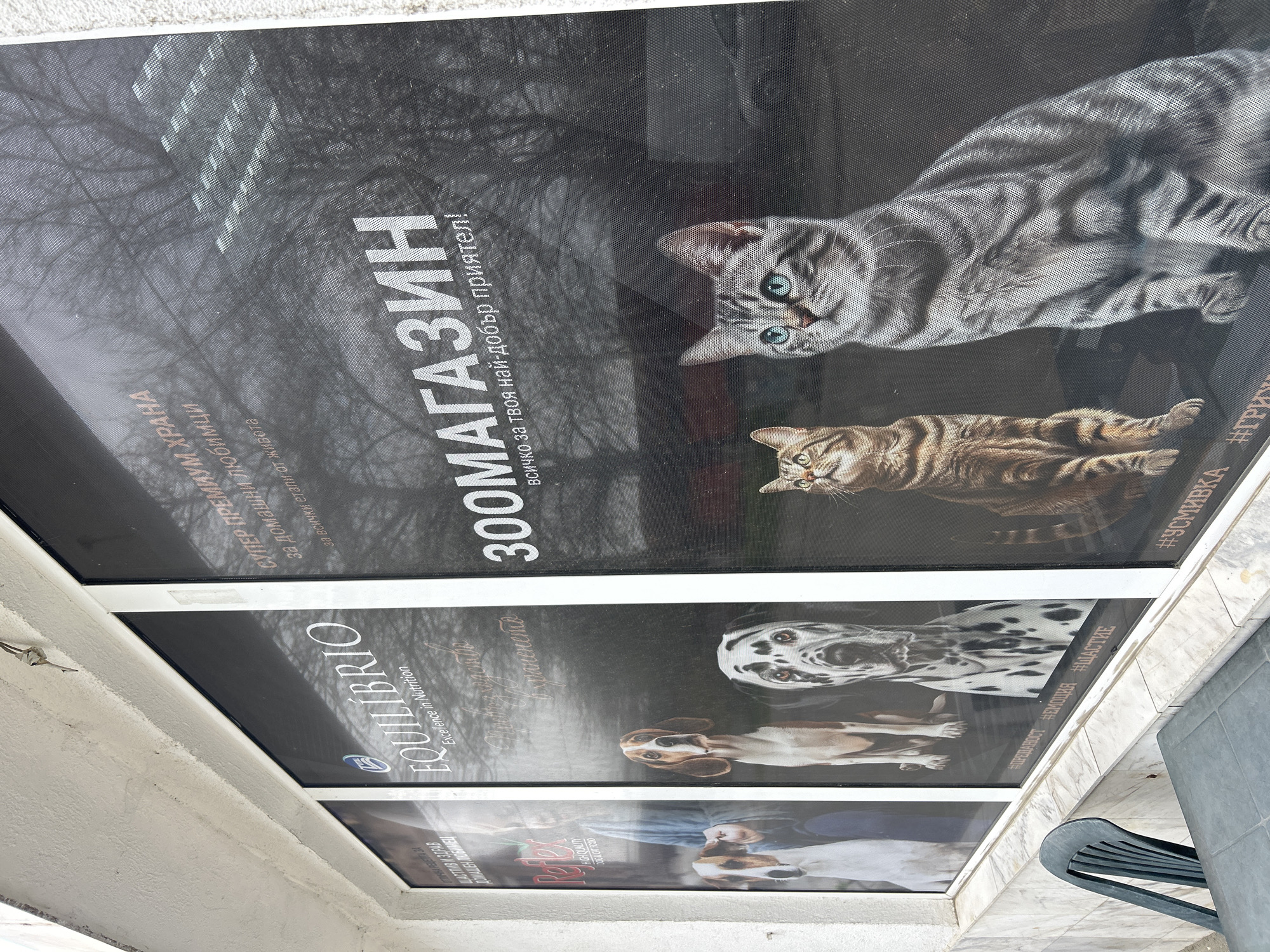 The image shows three adjacent lightboxes advertising a pet store. The top lightbox features two cats, one a silver tabby and the other a brown tabby, with the store name "300МАГАЗИН" and the phrase "всичко за твоя най-добър приятел!" (everything for your best friend!). The middle lightbox shows a dalmatian and a basset hound, with the brand "EQUILIBRIO". Text includes "Excellence in Nutrition" and hashtags "#ПРЕДАНОСТ ЕМОЦИЯ #ЩАСТИЕ" (loyalty, emotion, happiness). The bottom lightbox has images of dogs, dog food and text including "ЩАСТЛИВ И ЗДРАВ ДОМАШЕН ЛЮБИМЕЦ" (happy and healthy pet), "HIGH QUALITY DOG A CAT FOOD". The background is dark, possibly indicating a night or overcast day. A gray plastic chair is partially visible on the right side. The lightboxes are set into a white facade, likely on a commercial building in Plovdiv, Bulgaria, suggested by the Cyrillic script on the signs.