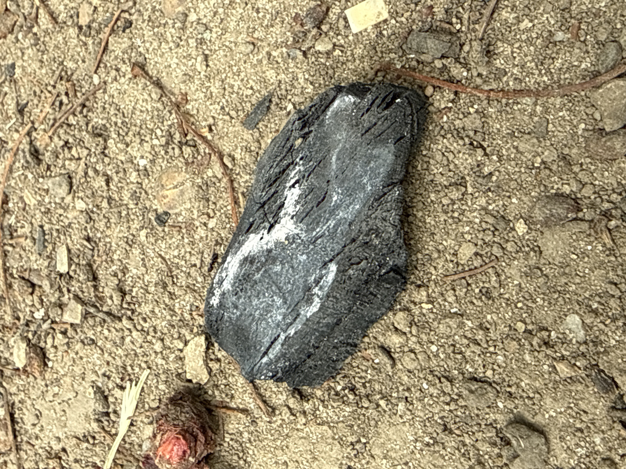 A close-up, overhead shot captures a piece of charcoal resting on sandy ground. The charcoal, dark gray and black with white powdery residue, is oblong and roughly textured. It is situated in the lower center of the frame. Surrounding the charcoal is dry, granular sand mixed with small pebbles and scattered organic debris, including thin, reddish-brown twigs and a small, dried, reddish-brown seed pod to the left of the charcoal. The lighting is natural, casting subtle shadows.