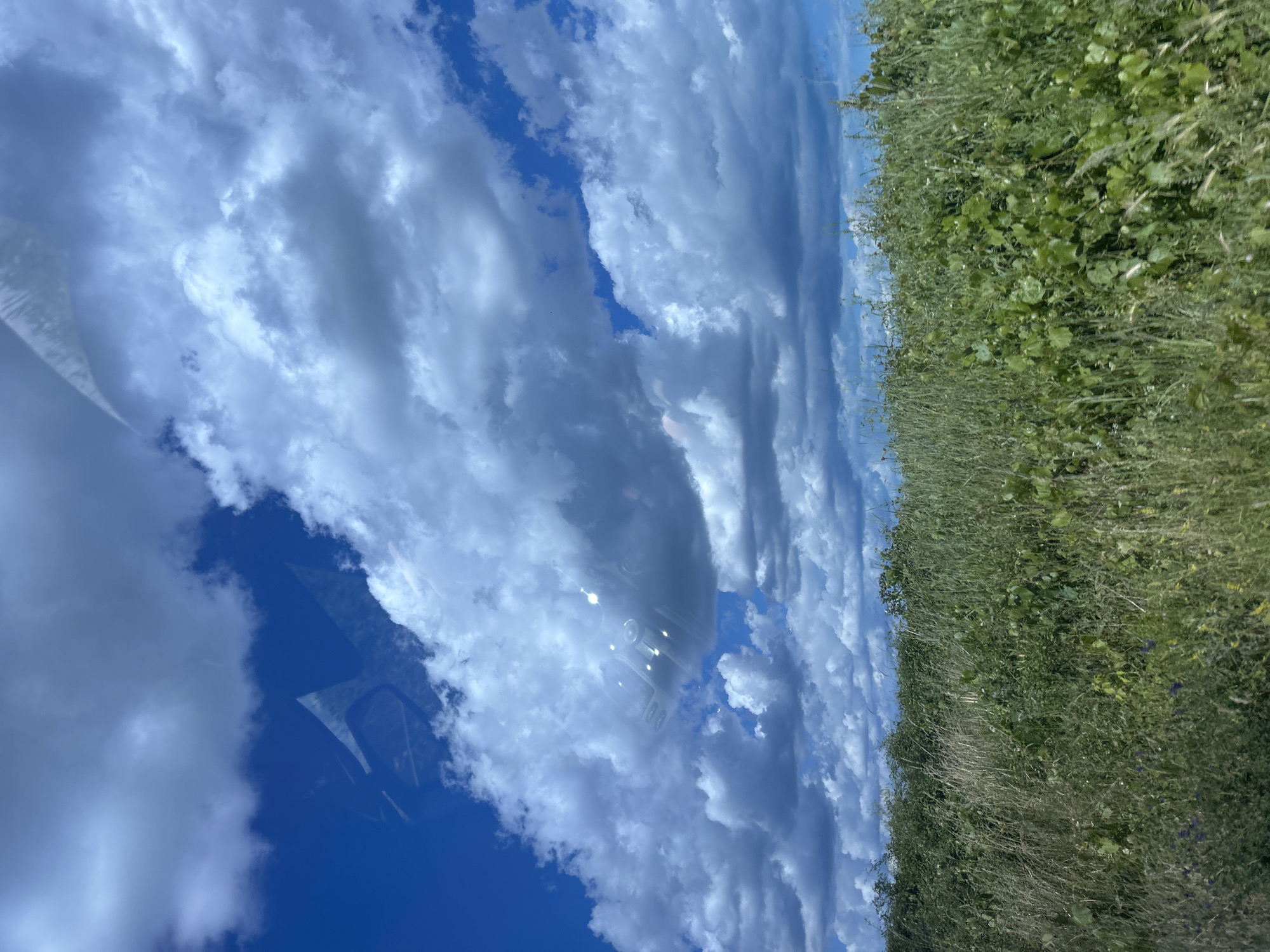 The image shows a landscape with a cloudy blue sky and a field of green grass. There is a reflection on the sky that appears to be from a window, showing part of a car interior. The location is stated to be Konstantinovo, Bulgaria, but there are no specific landmarks or people visible to confirm this. The scene is natural and serene, with no discernable activity or interaction.